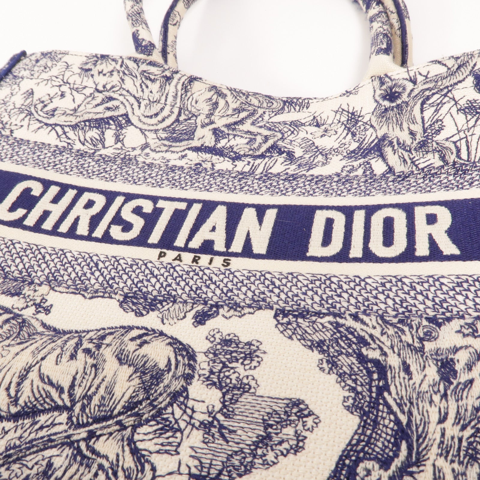 Dior 帆布Book Tote Medium手挽袋