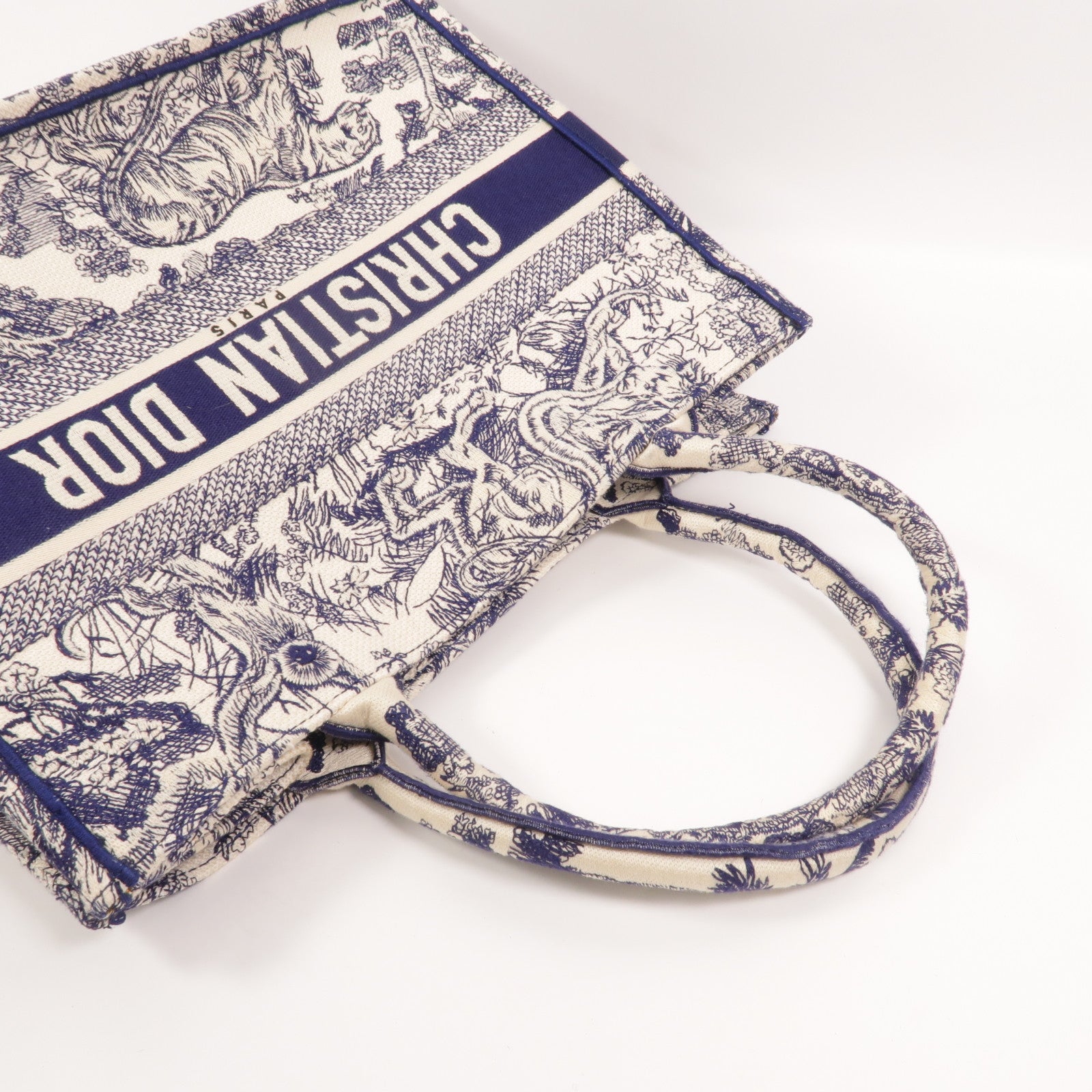 Dior 帆布Book Tote Medium手挽袋