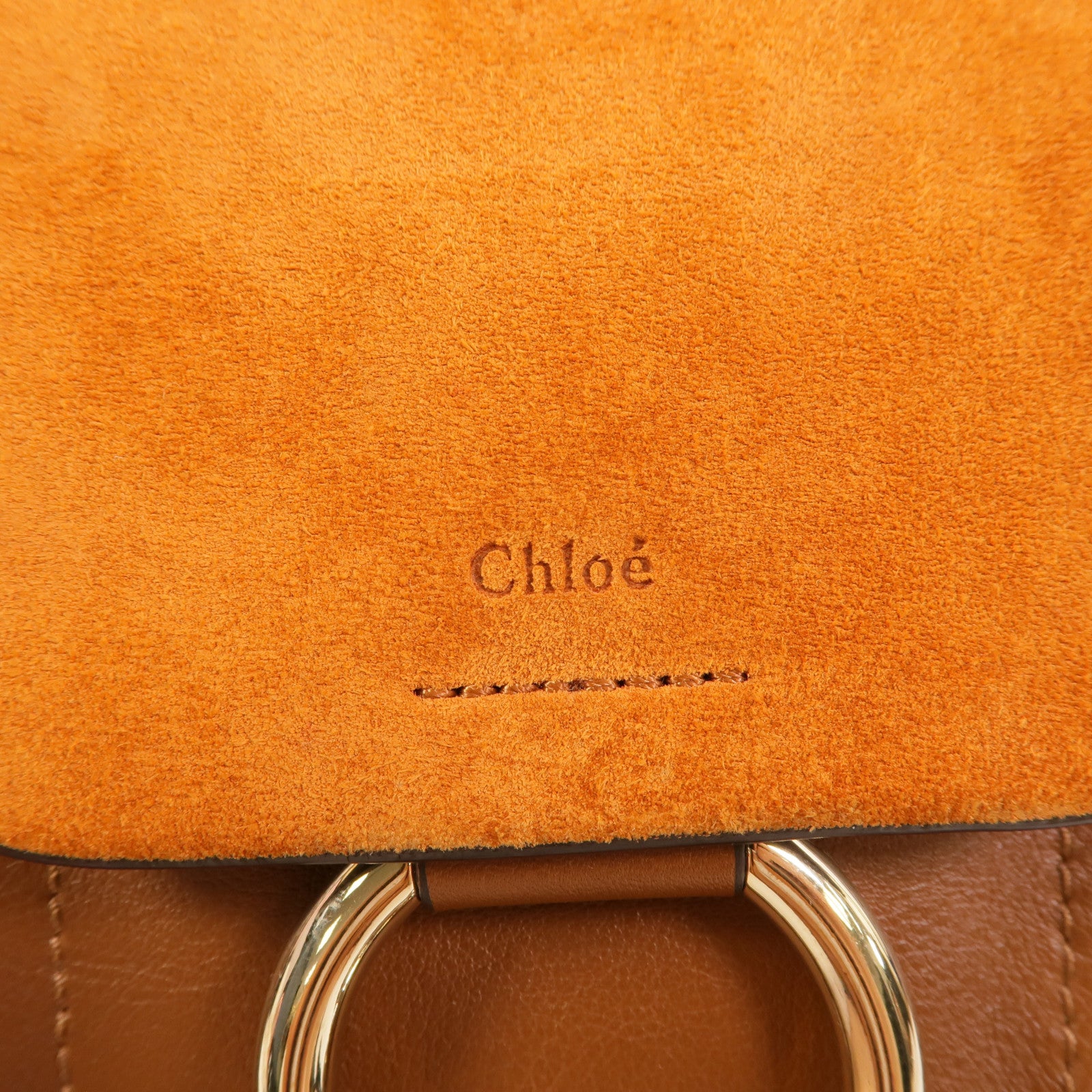 Chloe 牛皮皮革/Suede Faye Backpack背包