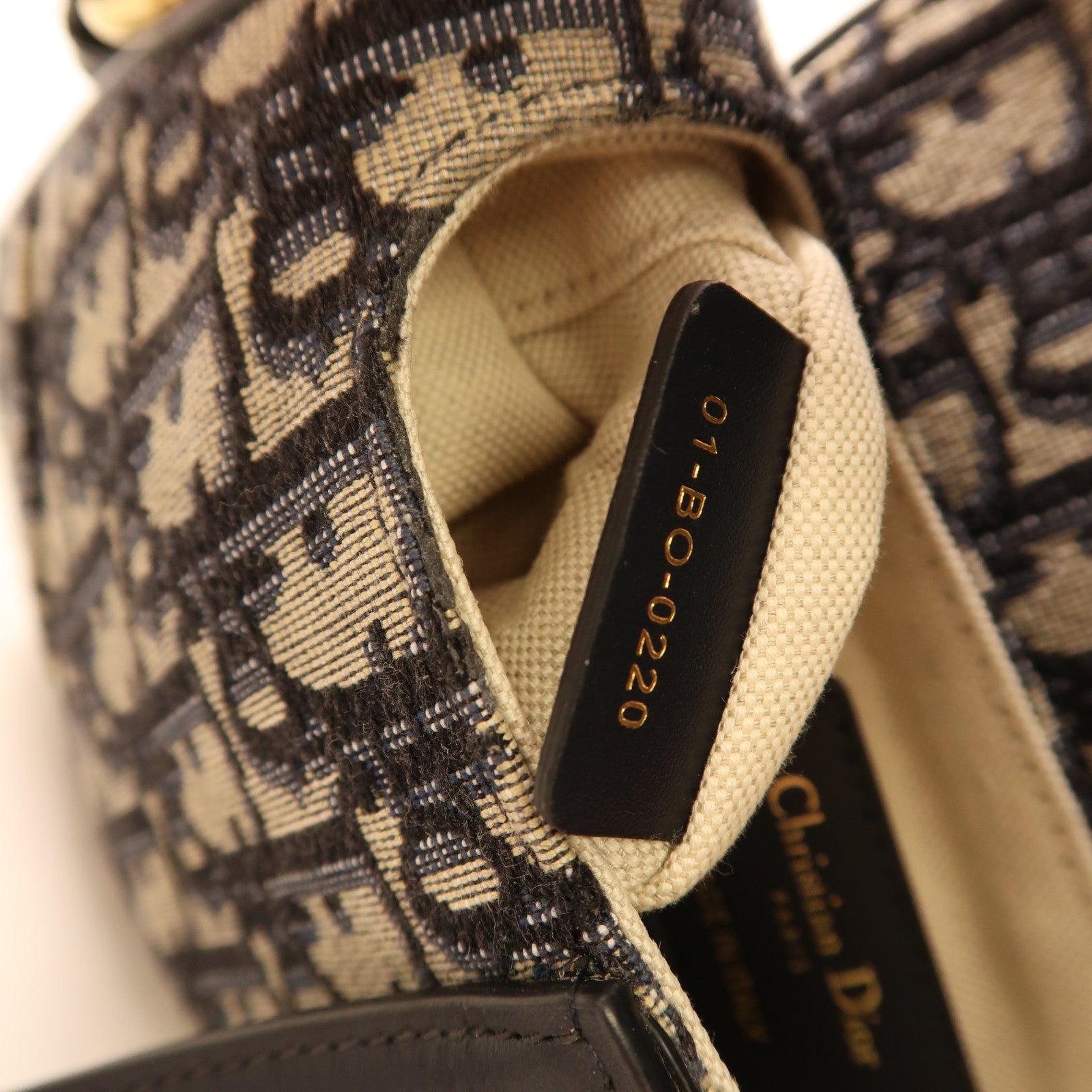 Dior 帆布Saddle Bag金扣手挽肩背兩用袋