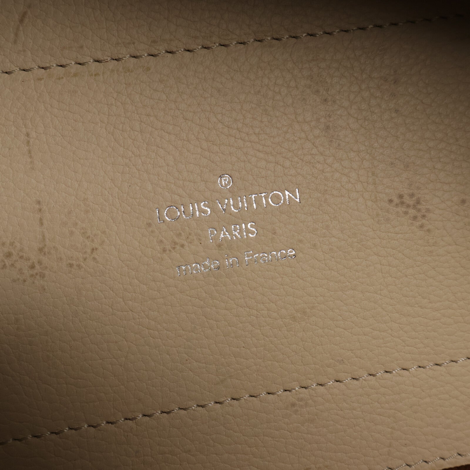 LOUIS VUITTON Mahina Hina PM手挽肩背兩用袋