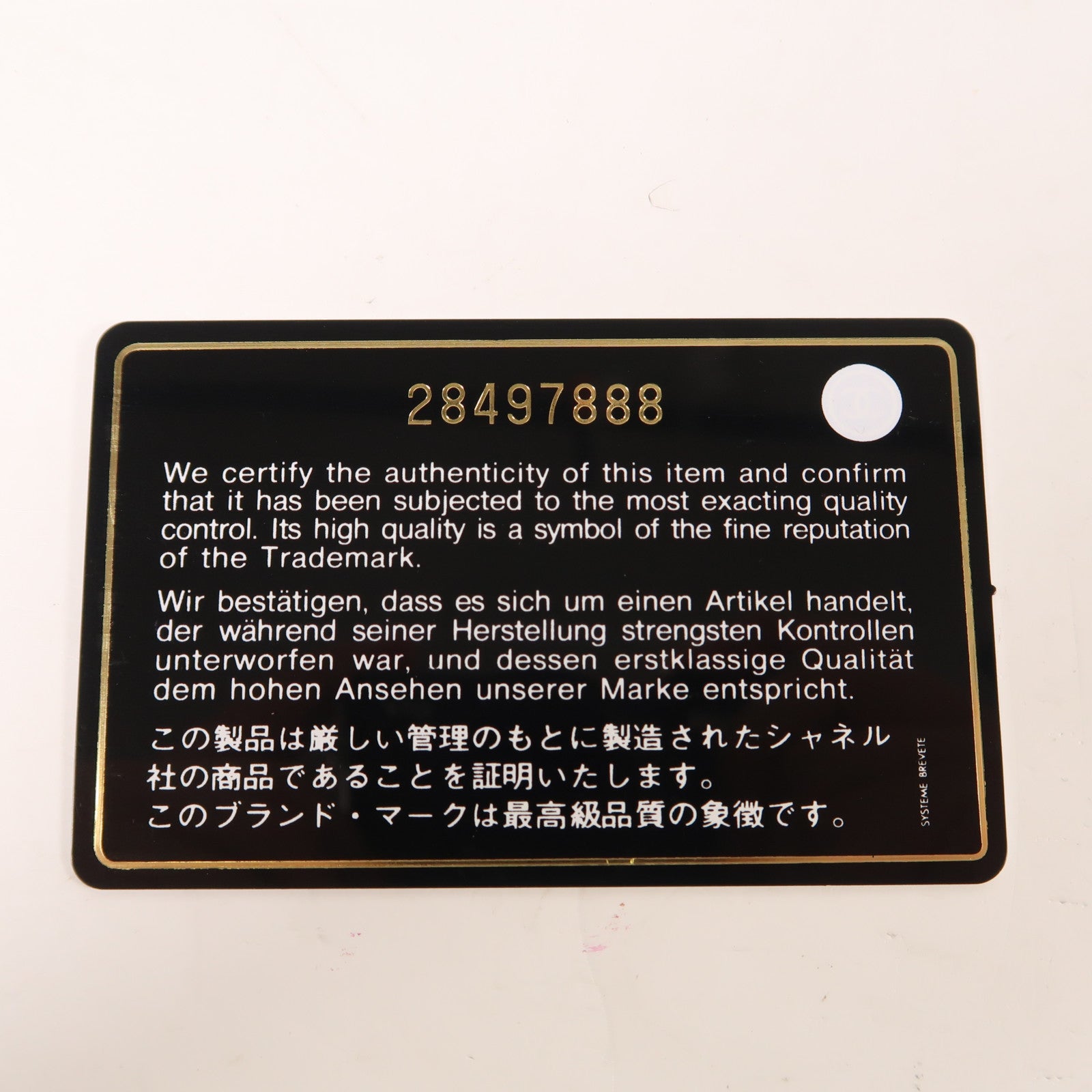 CHANEL 牛皮皮革Chanel 19 Camera金扣鏈帶肩背袋