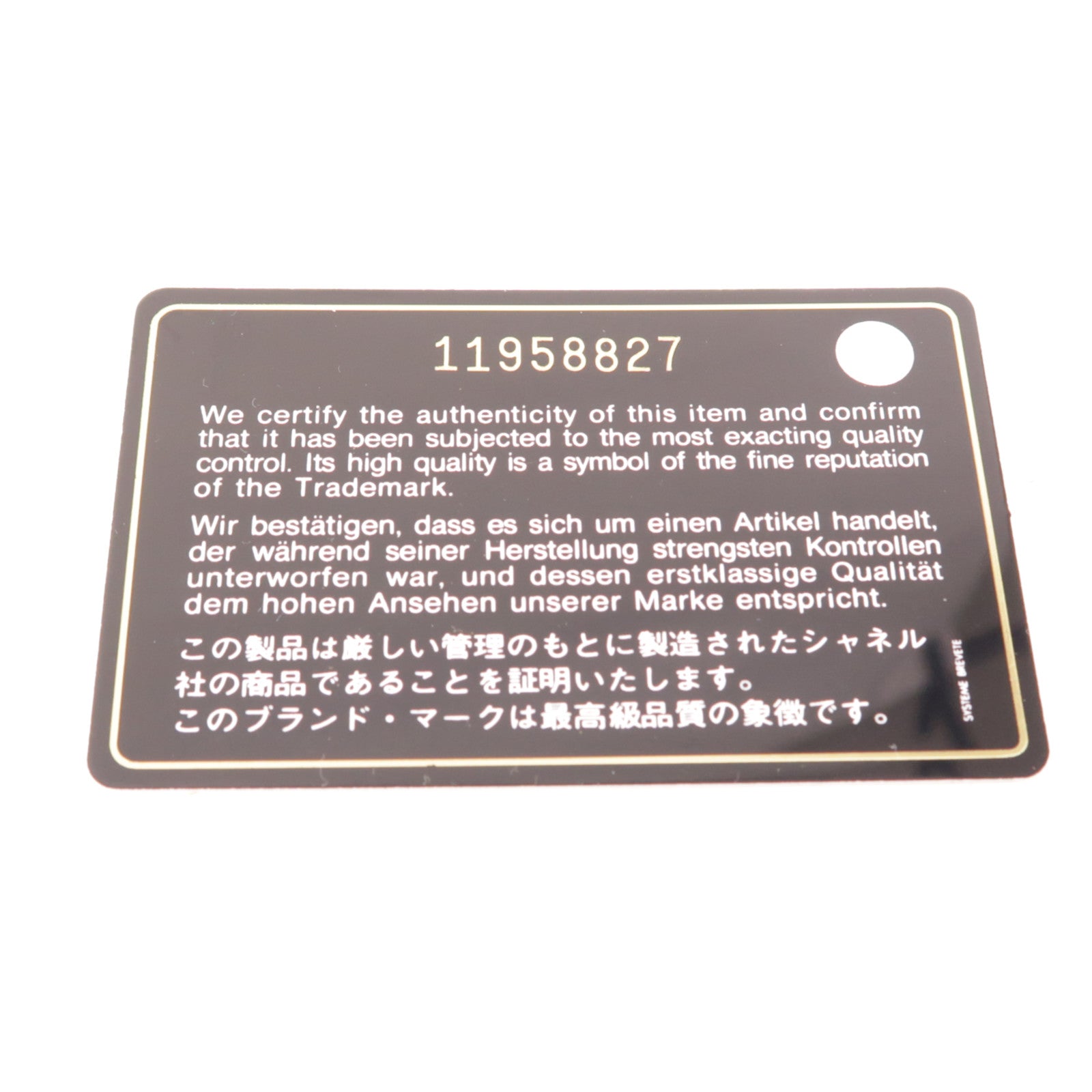 CHANEL 牛皮皮革Large Classic銀扣肩背袋