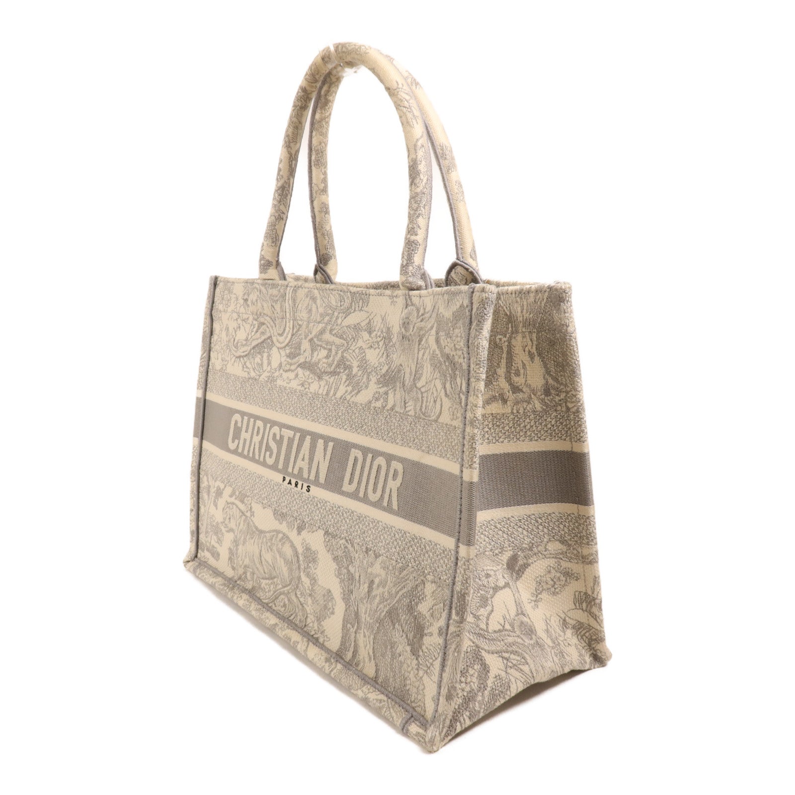 Dior 帆布Book Tote手挽袋
