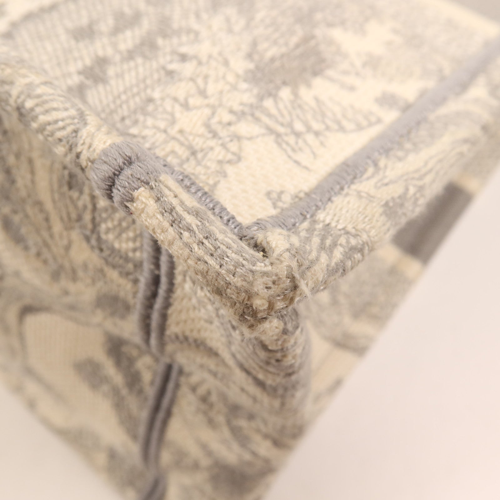 Dior 帆布Book Tote手挽袋