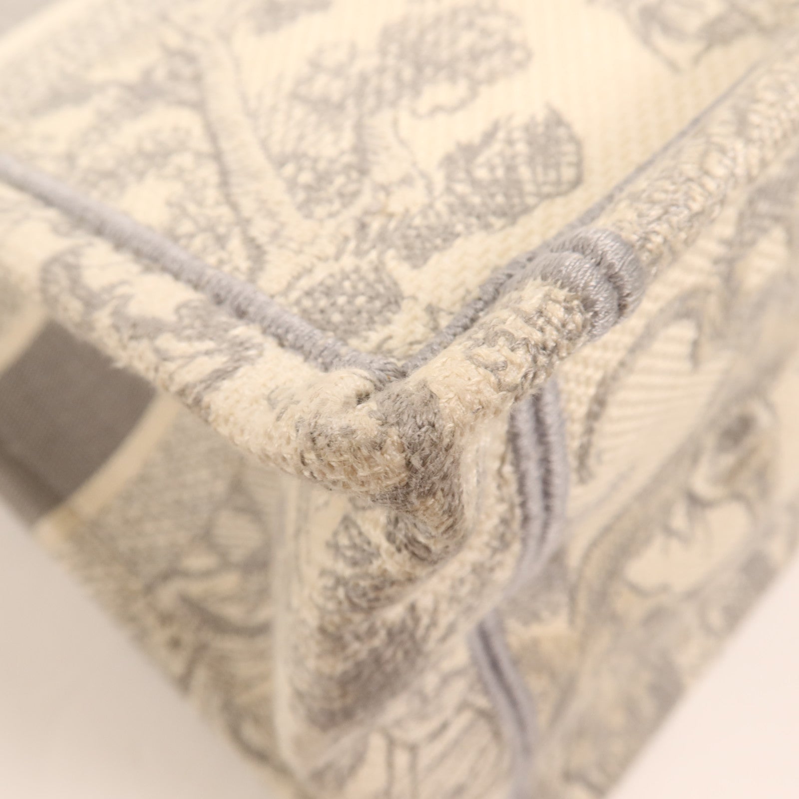 Dior 帆布Book Tote手挽袋