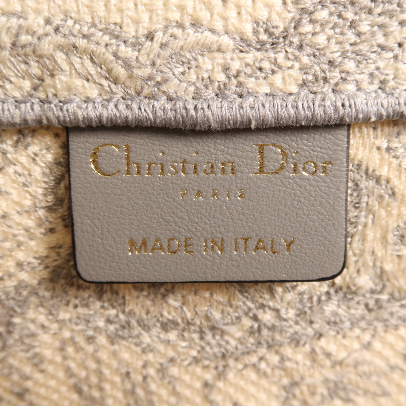 Dior 帆布Book Tote手挽袋