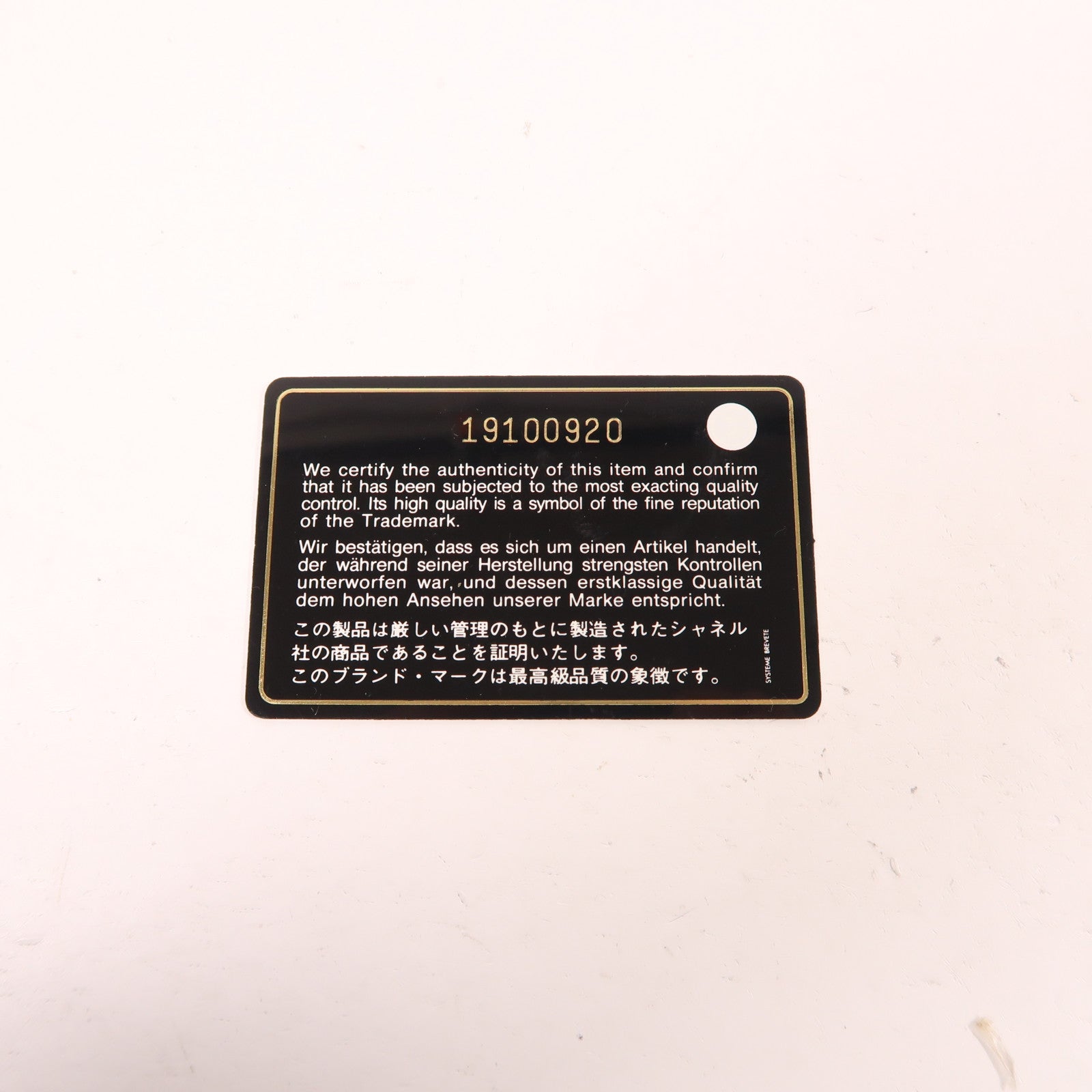 CHANEL 尼龍Coco Cocoon銀扣手挽袋