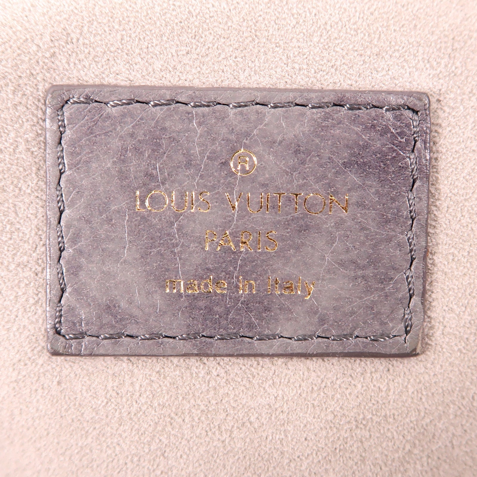 LOUIS VUITTON 羊皮皮革Nimbus Olype PM金扣手挽袋