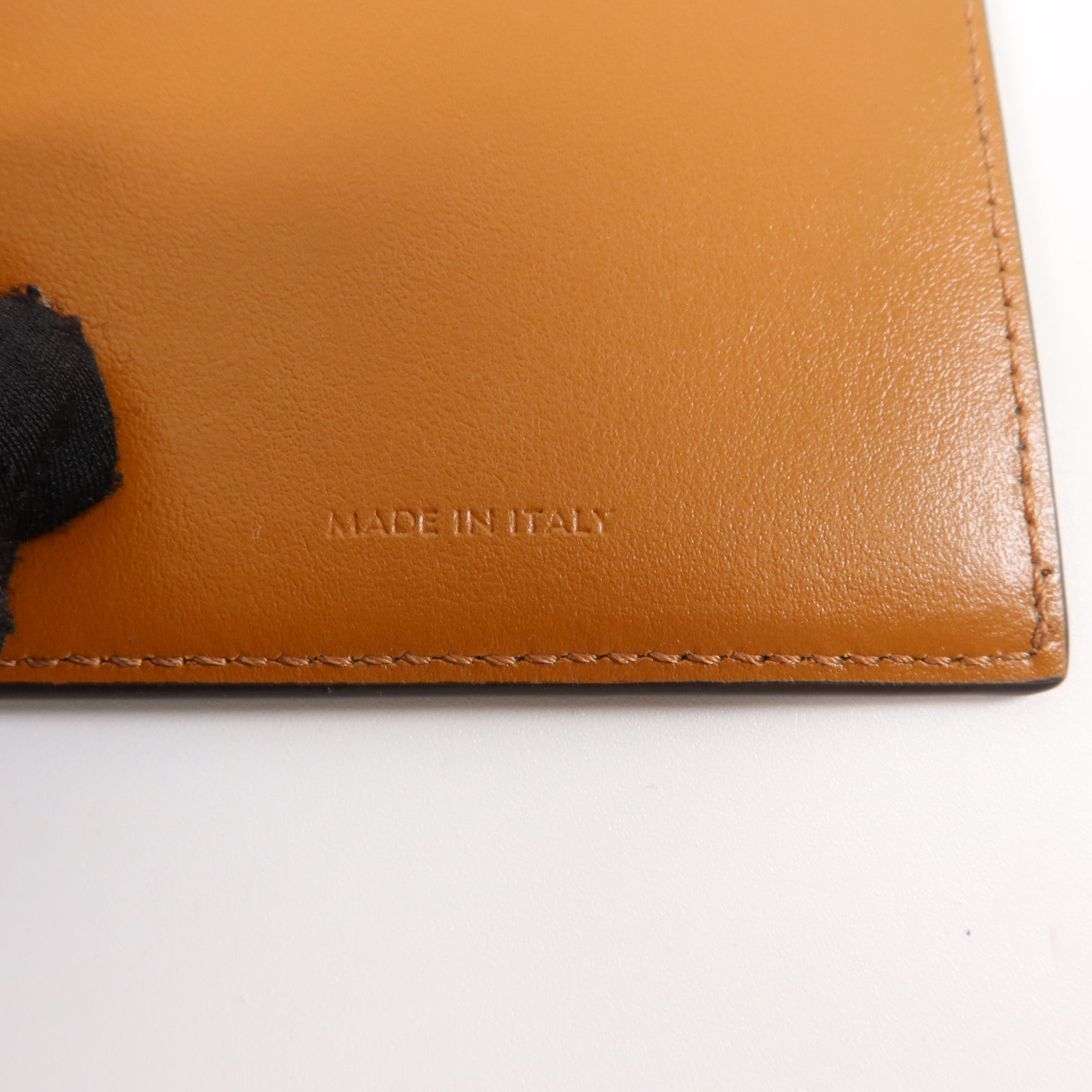 CELINE Triomphe塗層帆布Passport Case護照套