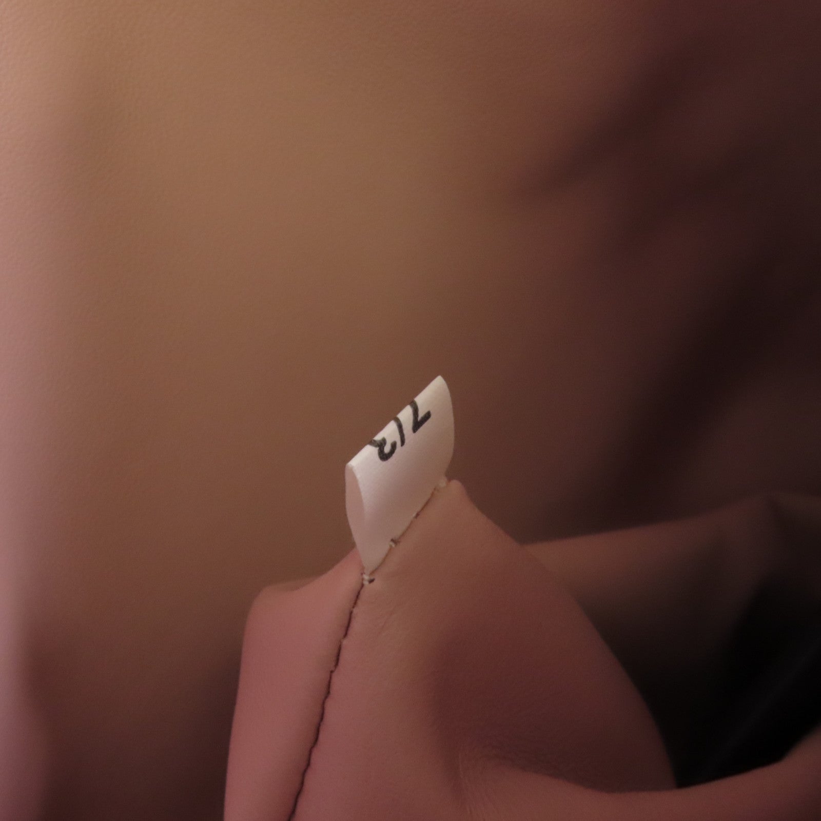 PRADA 牛皮皮革Nappa Antique肩背袋