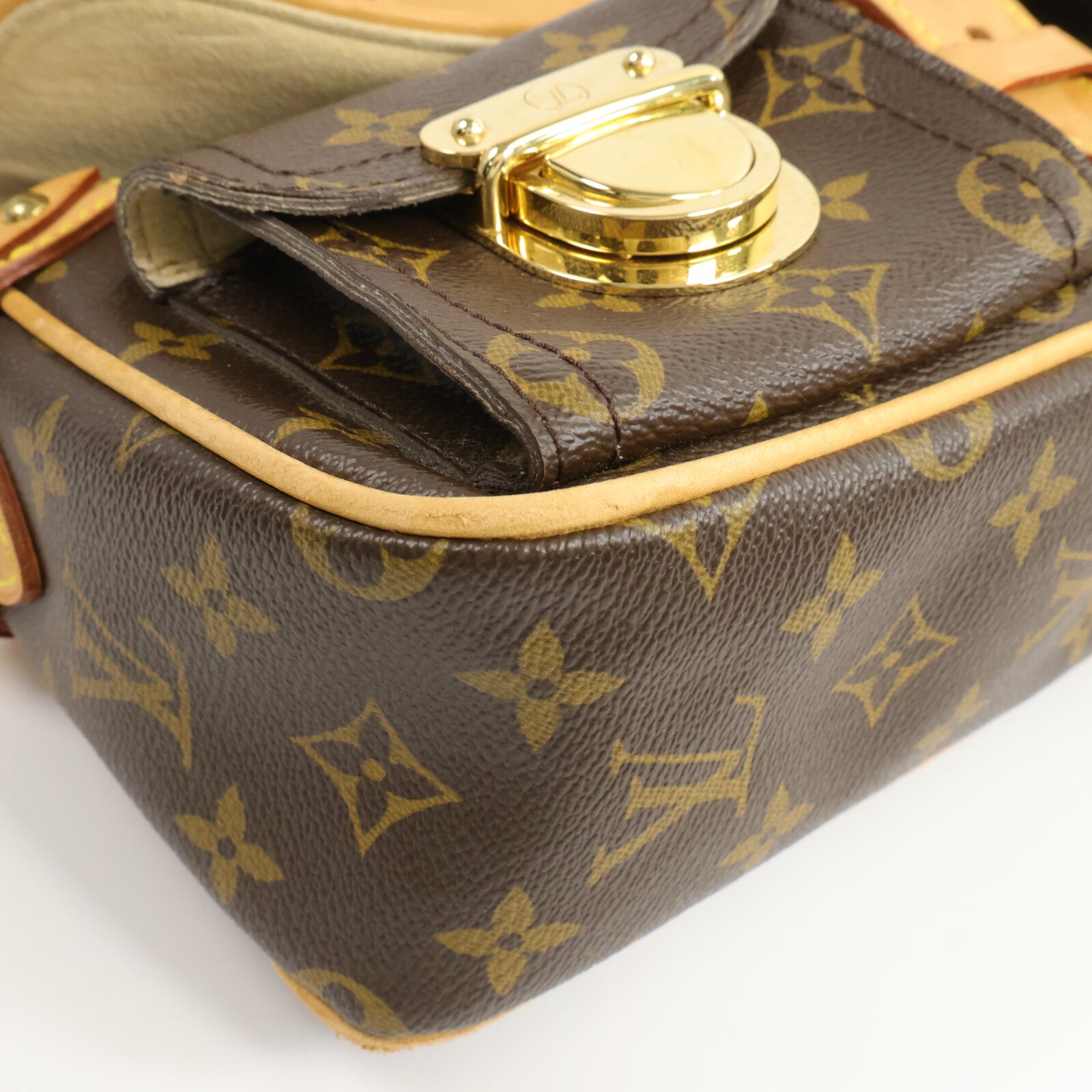 LOUIS VUITTON Monogram Hudson PM肩背袋
