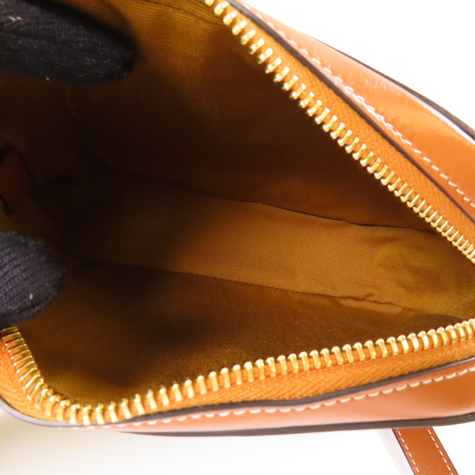 CELINE 塗層帆布Triomphe Camera Bag金扣肩背袋