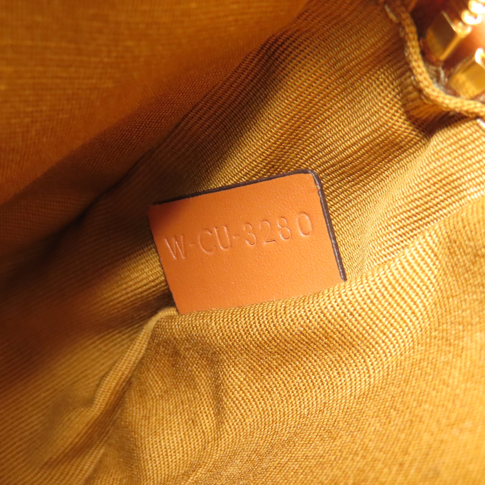 CELINE 塗層帆布Triomphe Camera Bag金扣肩背袋