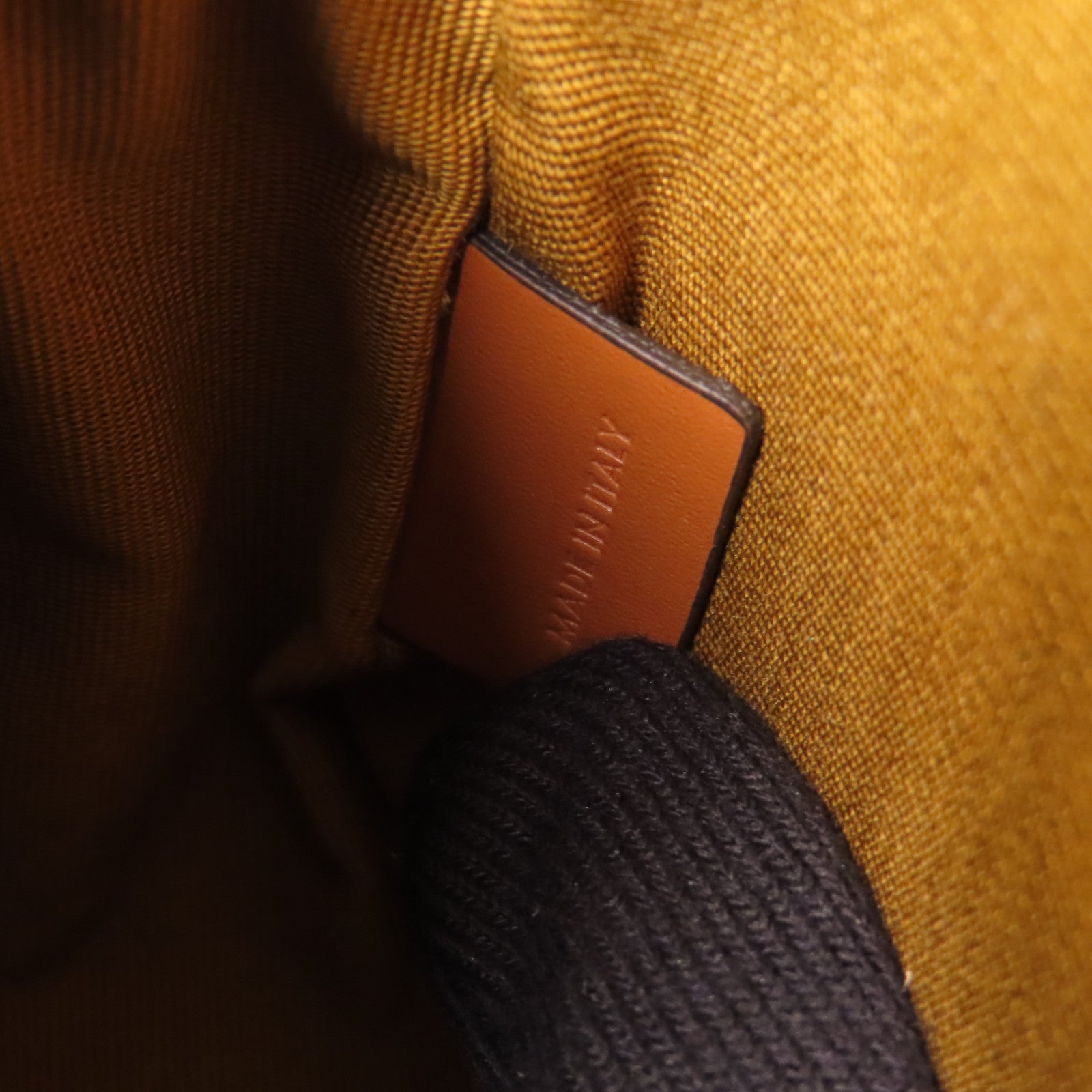 CELINE 塗層帆布Triomphe Camera Bag金扣肩背袋