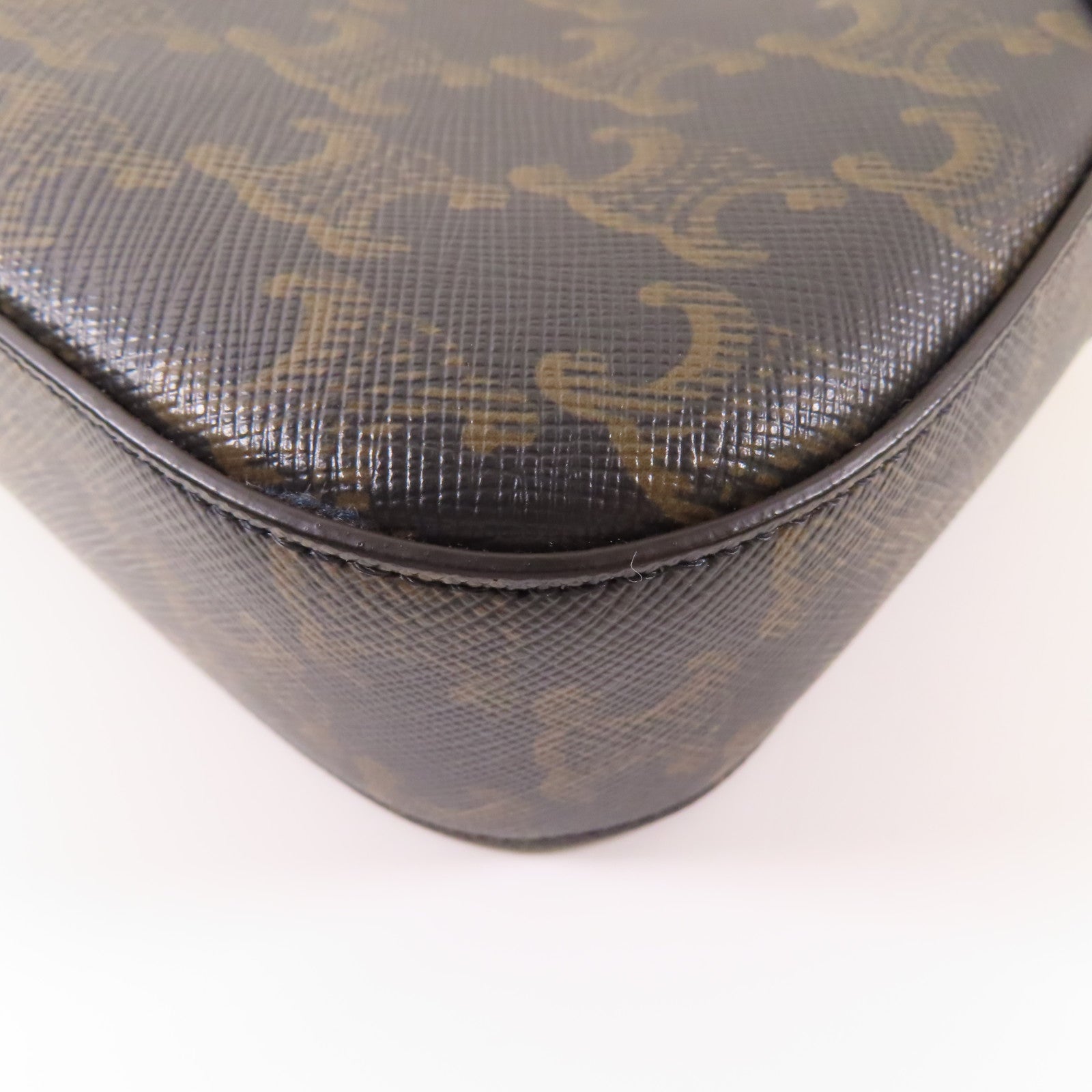 CELINE 塗層帆布Triomphe Camera Bag金扣肩背袋