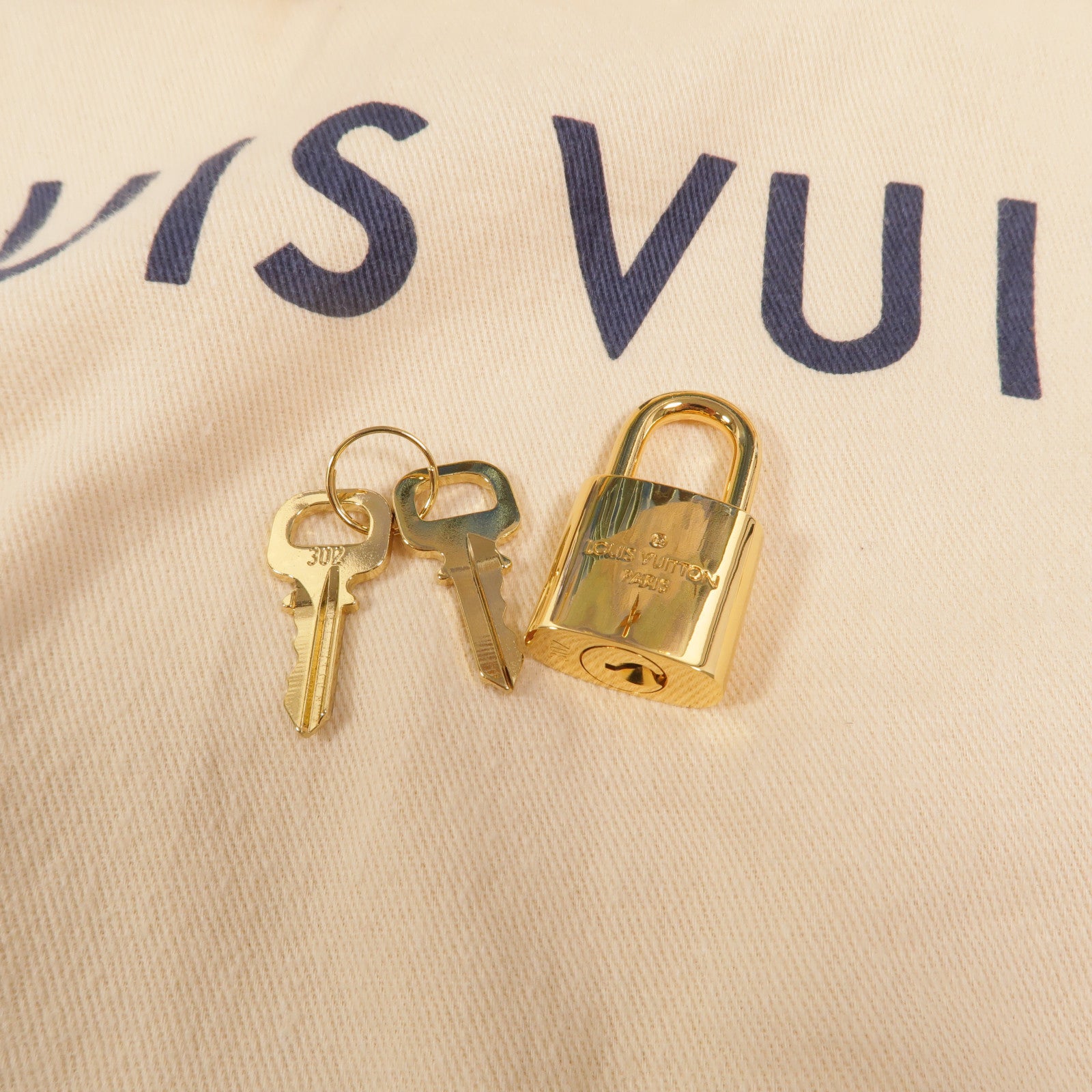 LOUIS VUITTON Jeff Koons Van Gogh Palm Springs背包