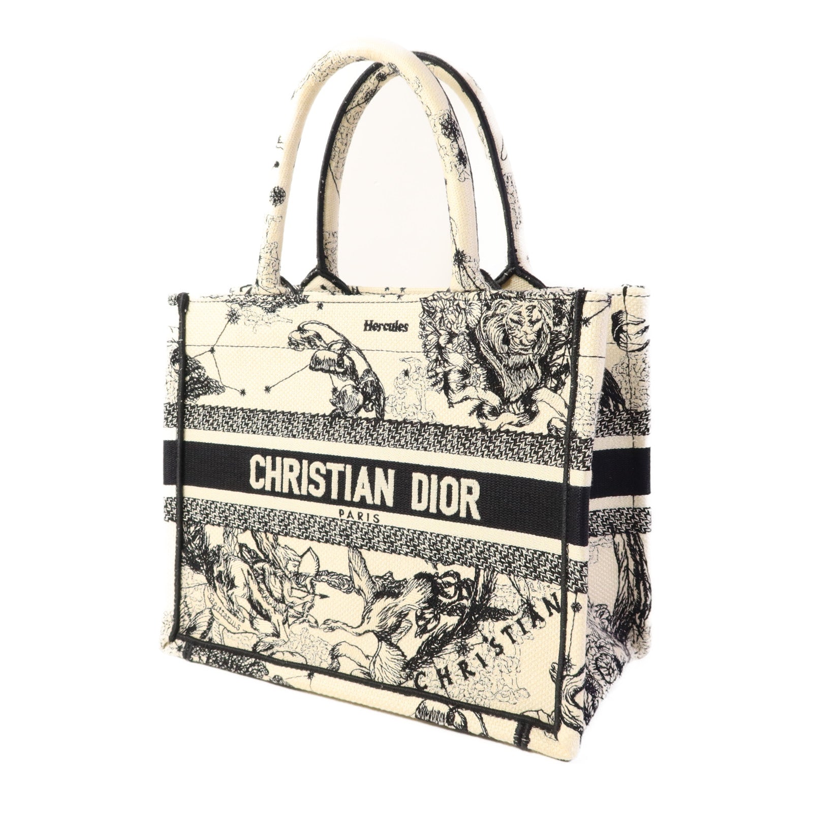 Dior 帆布Book Tote Small手挽袋
