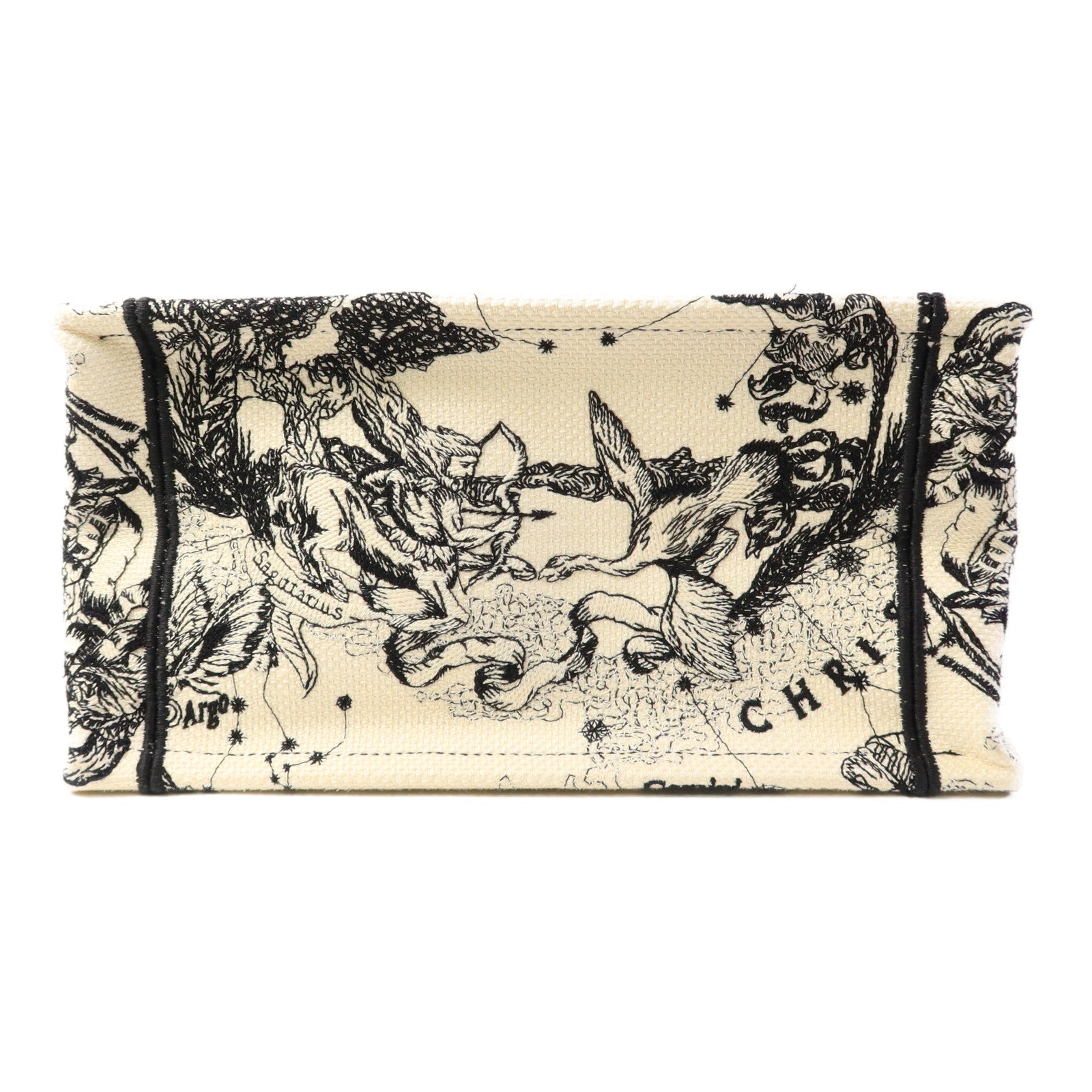 Dior 帆布Book Tote Small手挽袋