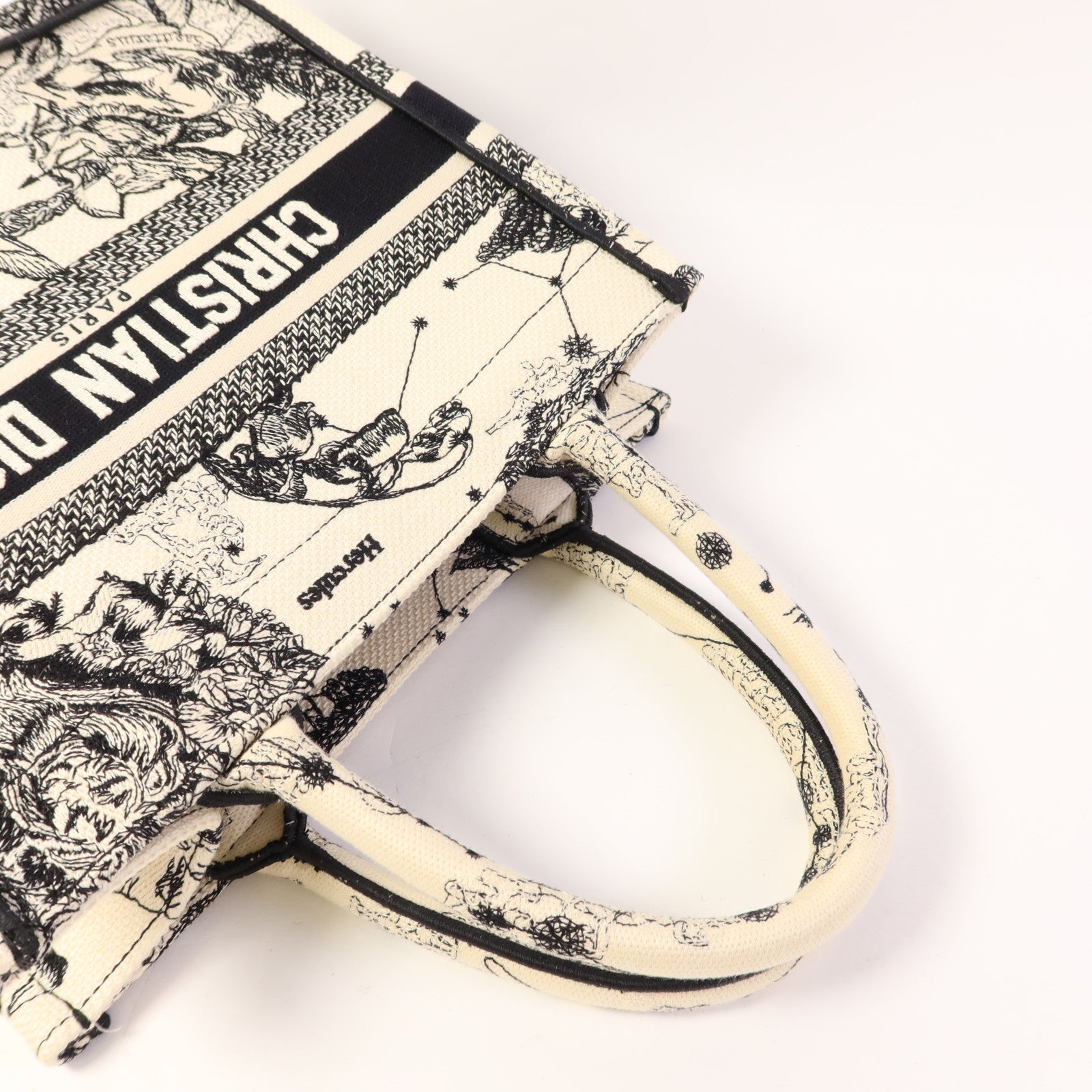 Dior 帆布Book Tote Small手挽袋