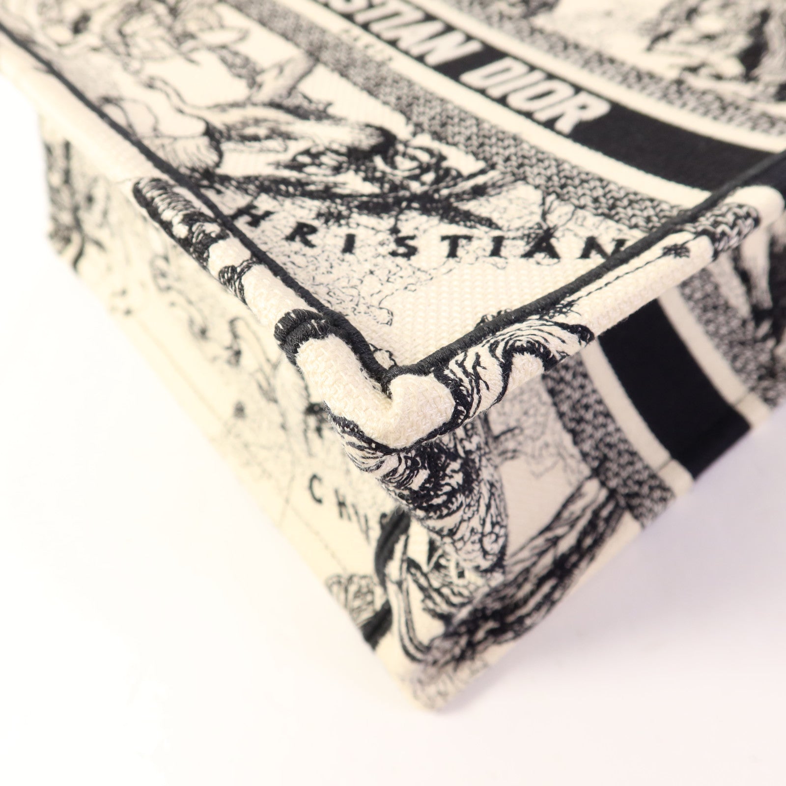 Dior 帆布Book Tote Small手挽袋