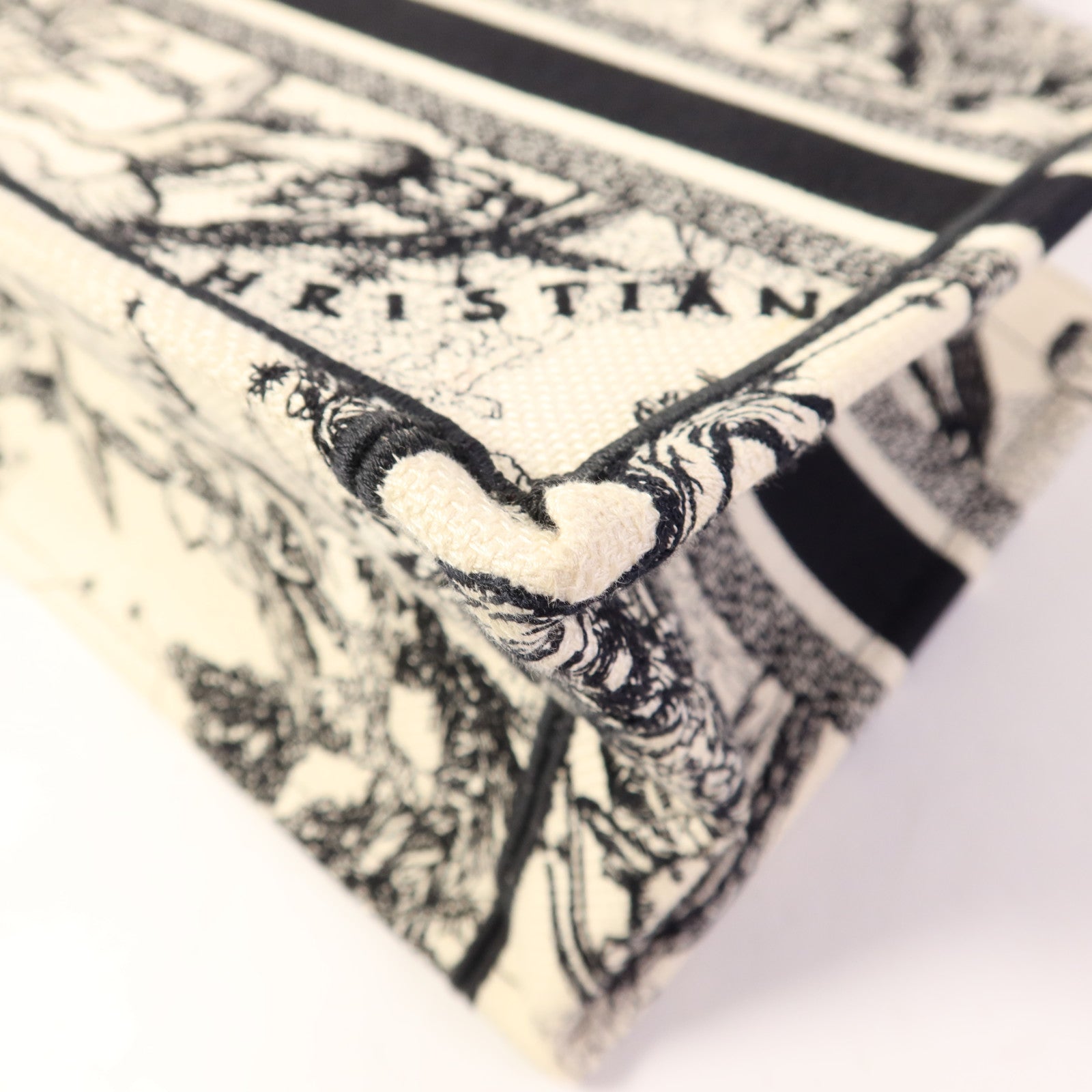 Dior 帆布Book Tote Small手挽袋