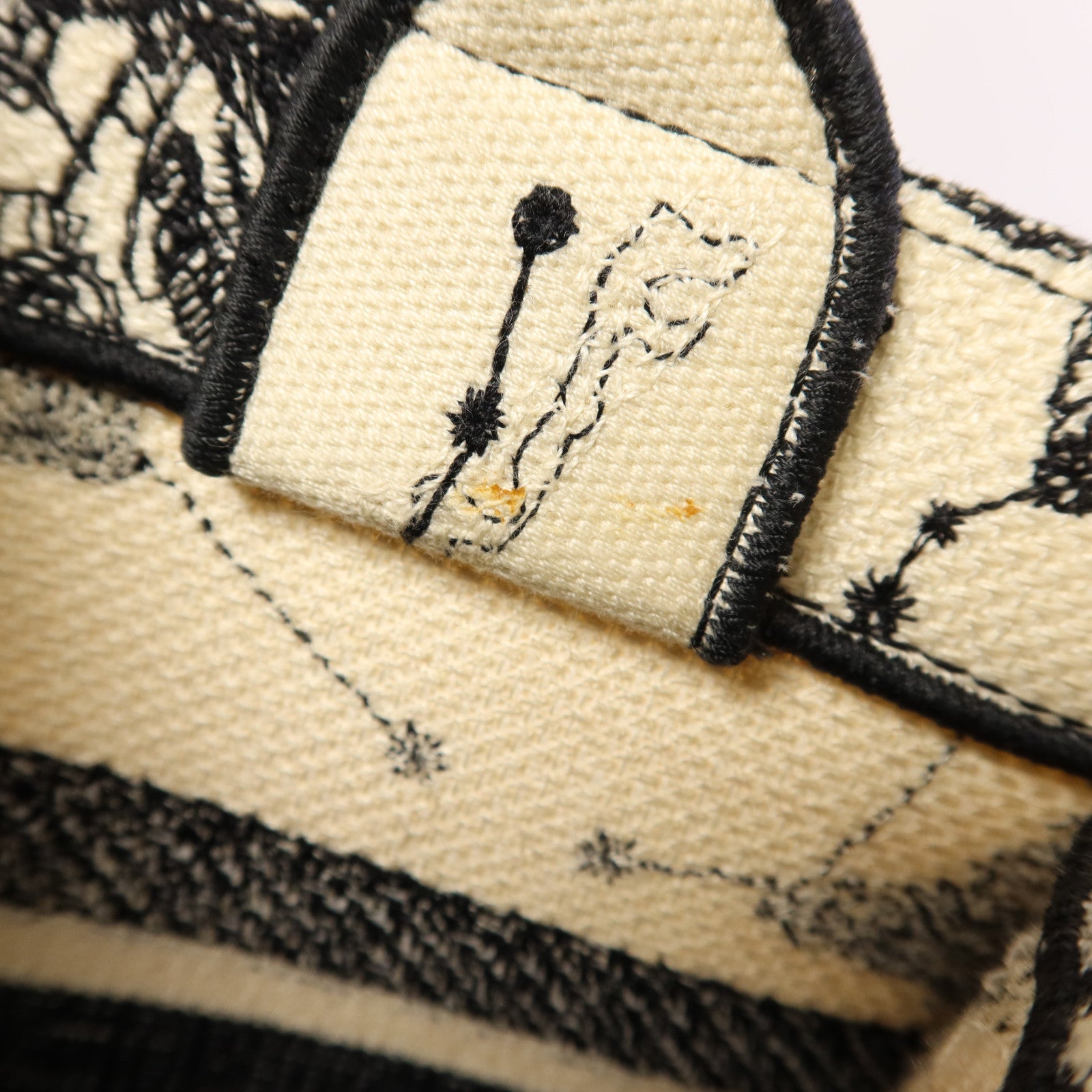 Dior 帆布Book Tote Small手挽袋