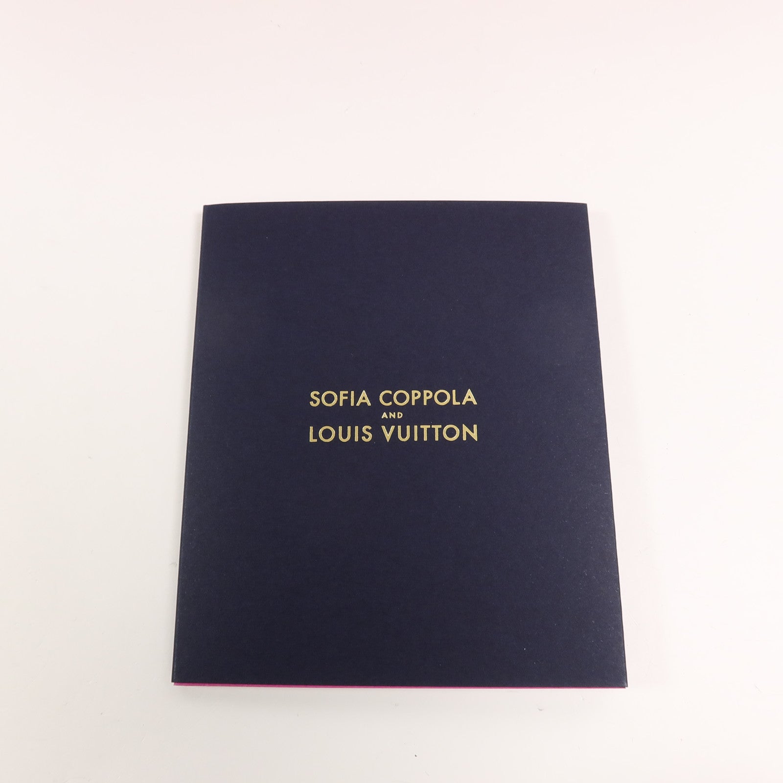 LOUIS VUITTON 牛皮皮革Sofia Coppola PM手挽肩背兩用袋