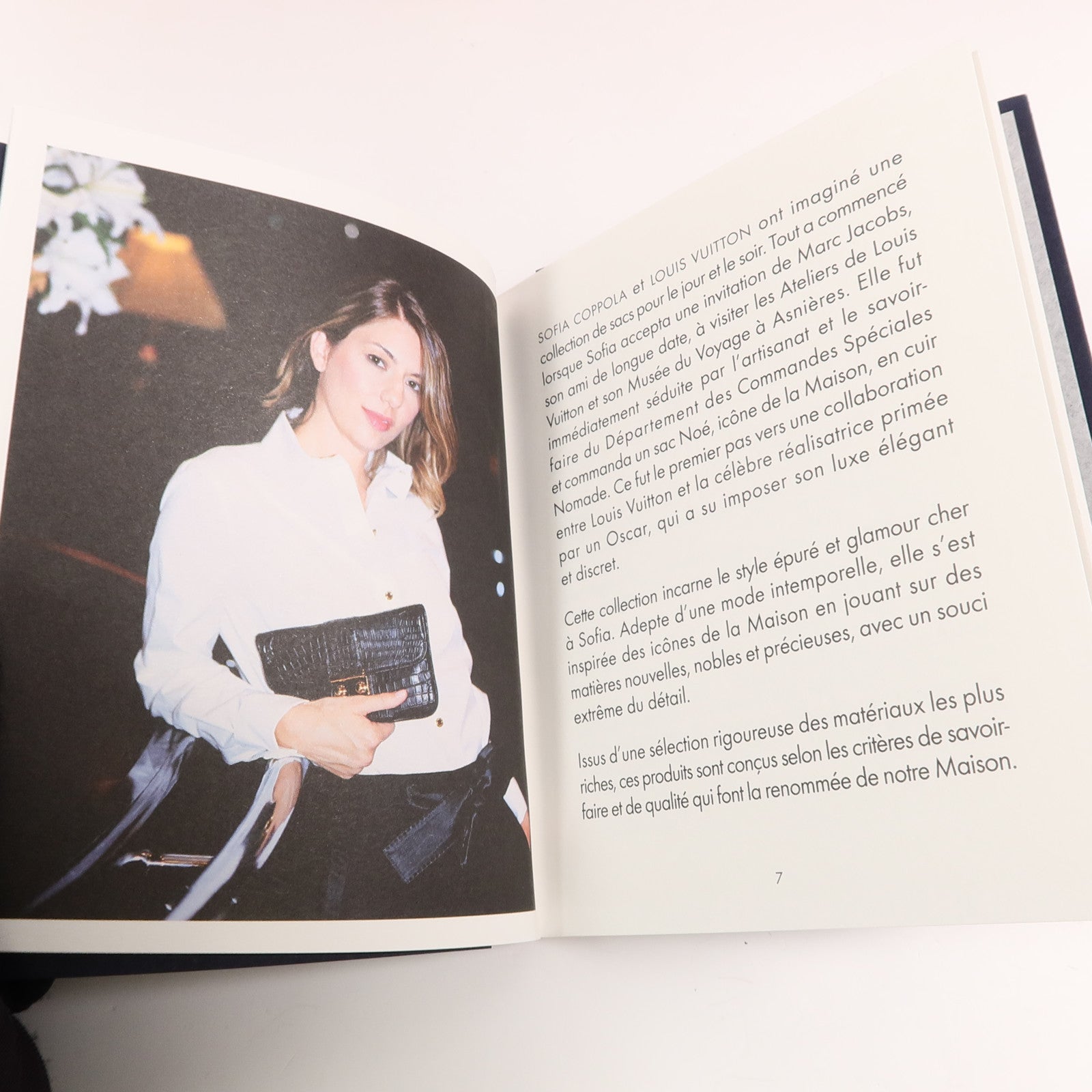 LOUIS VUITTON 牛皮皮革Sofia Coppola PM手挽肩背兩用袋