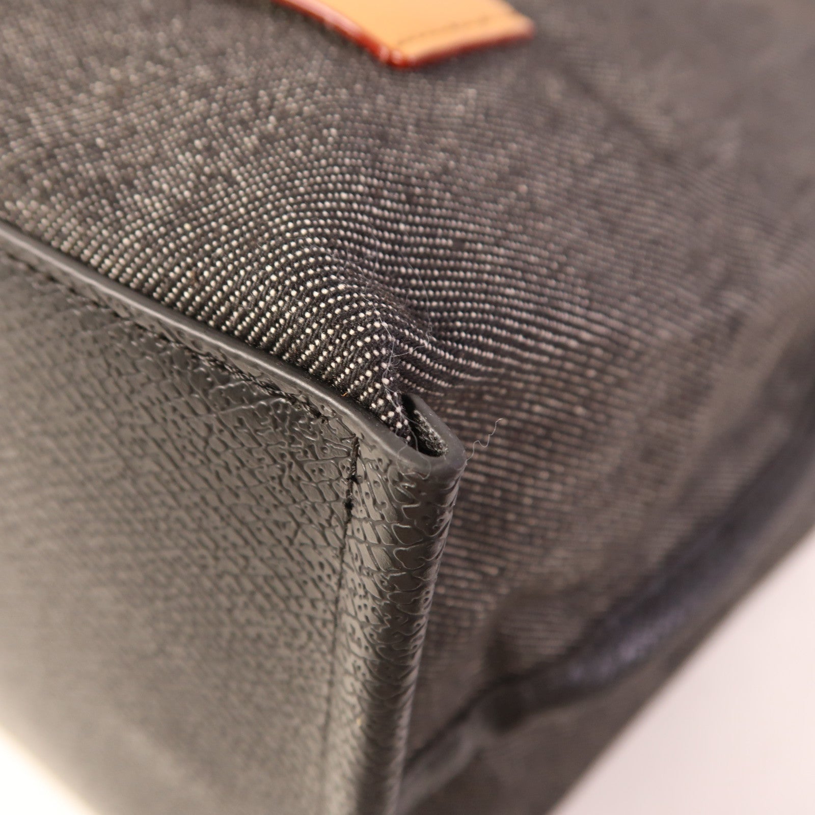 Longchamp 帆布Tote Bag手挽袋