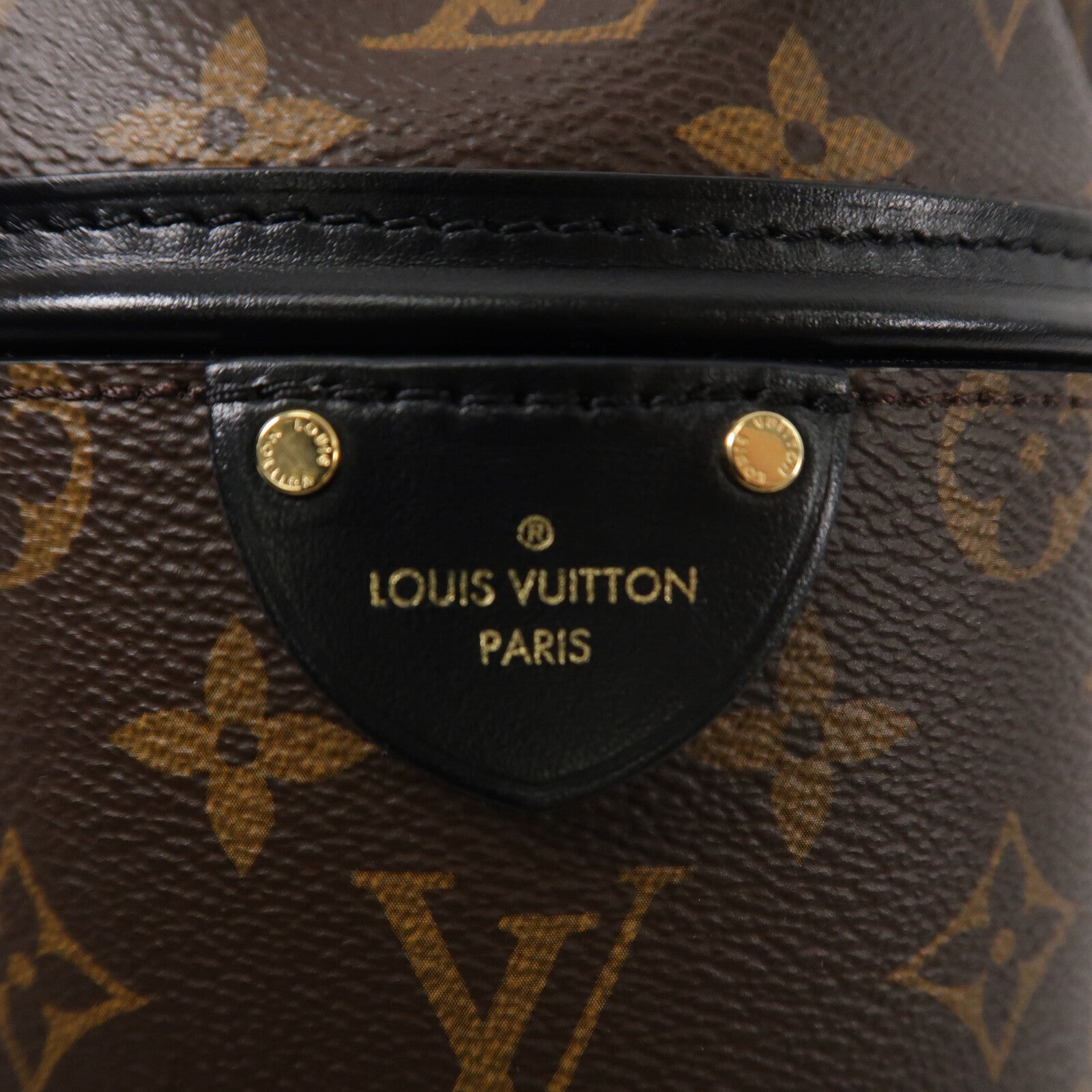 LOUIS VUITTON Monogram/牛皮皮革Canoe手挽肩背兩用袋