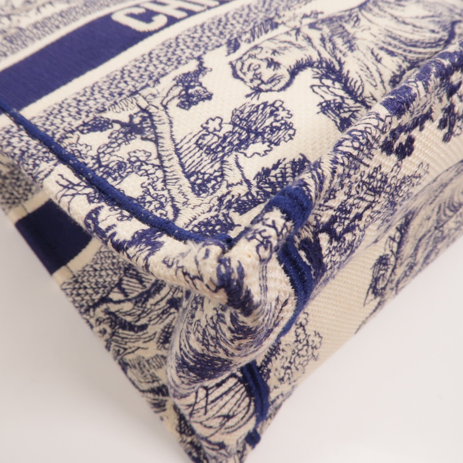 Dior 帆布Book Tote Medium手挽袋