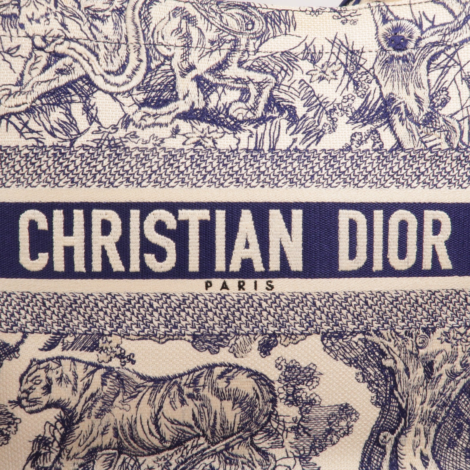 Dior 帆布Book Tote Medium手挽袋