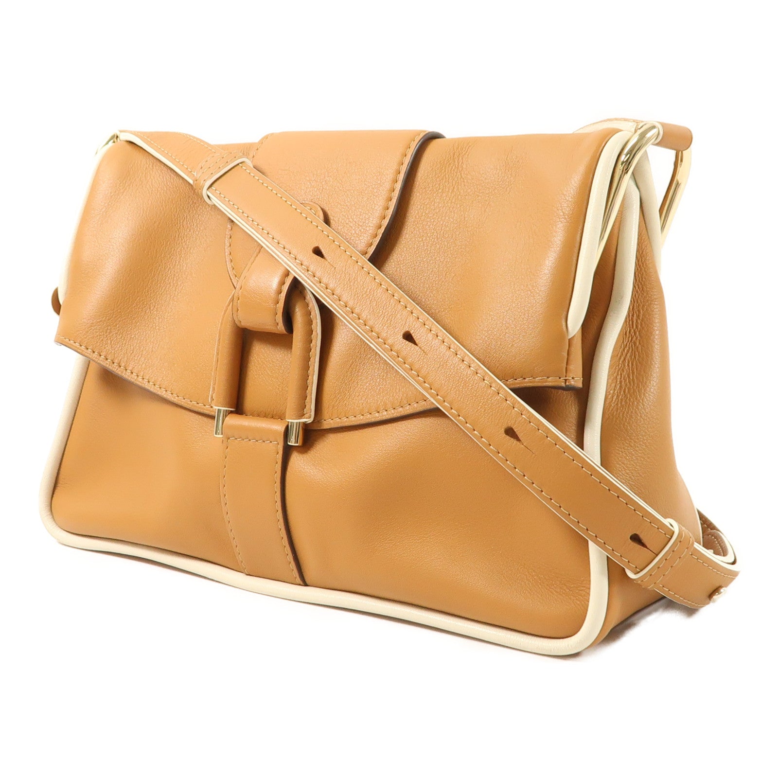 Delvaux 牛皮皮革Givry PM金扣肩背袋