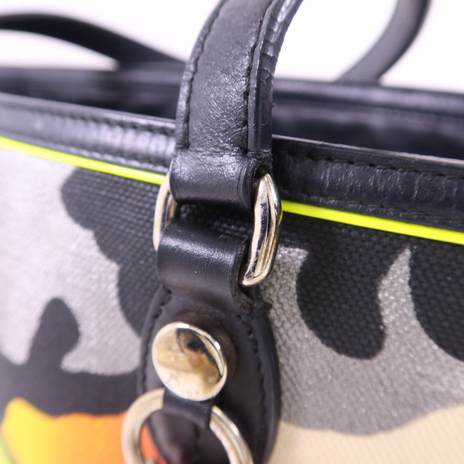 Dior 帆布Dior X Anselm Reyle銀扣肩背袋