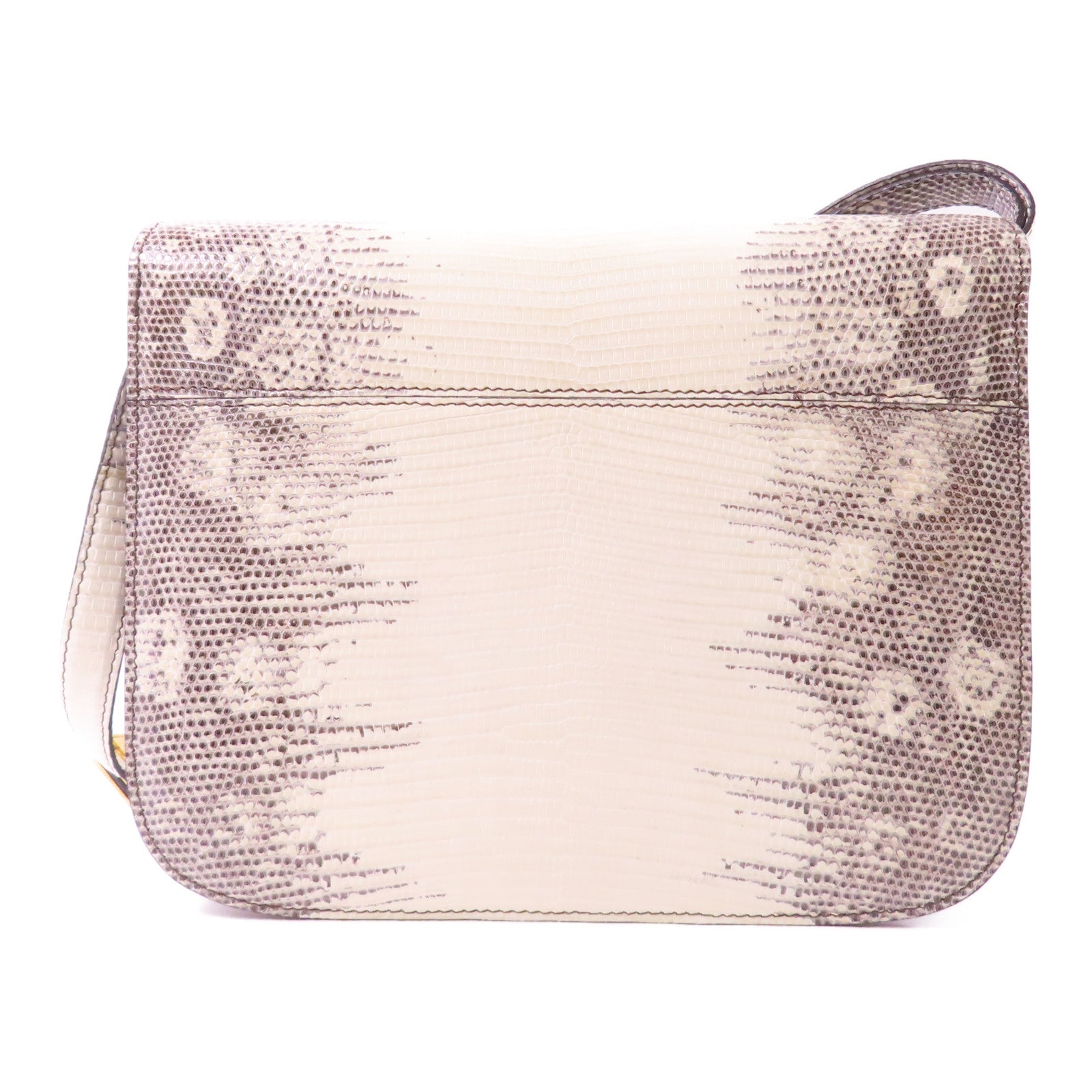 CELINE 蜥蝪皮革Classic Box金扣肩背袋白色/啡色
