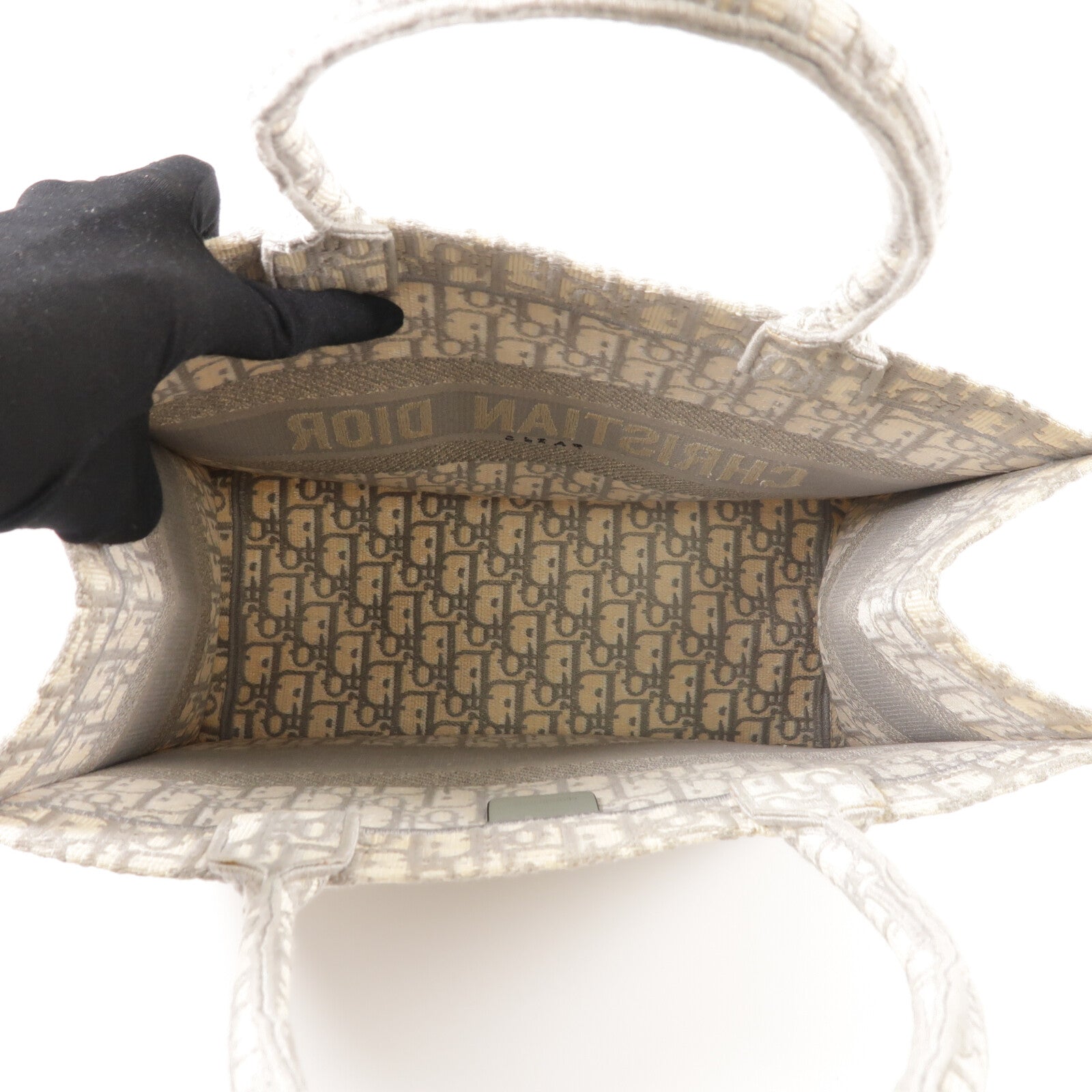 Dior 帆布Book Tote Medium手挽袋