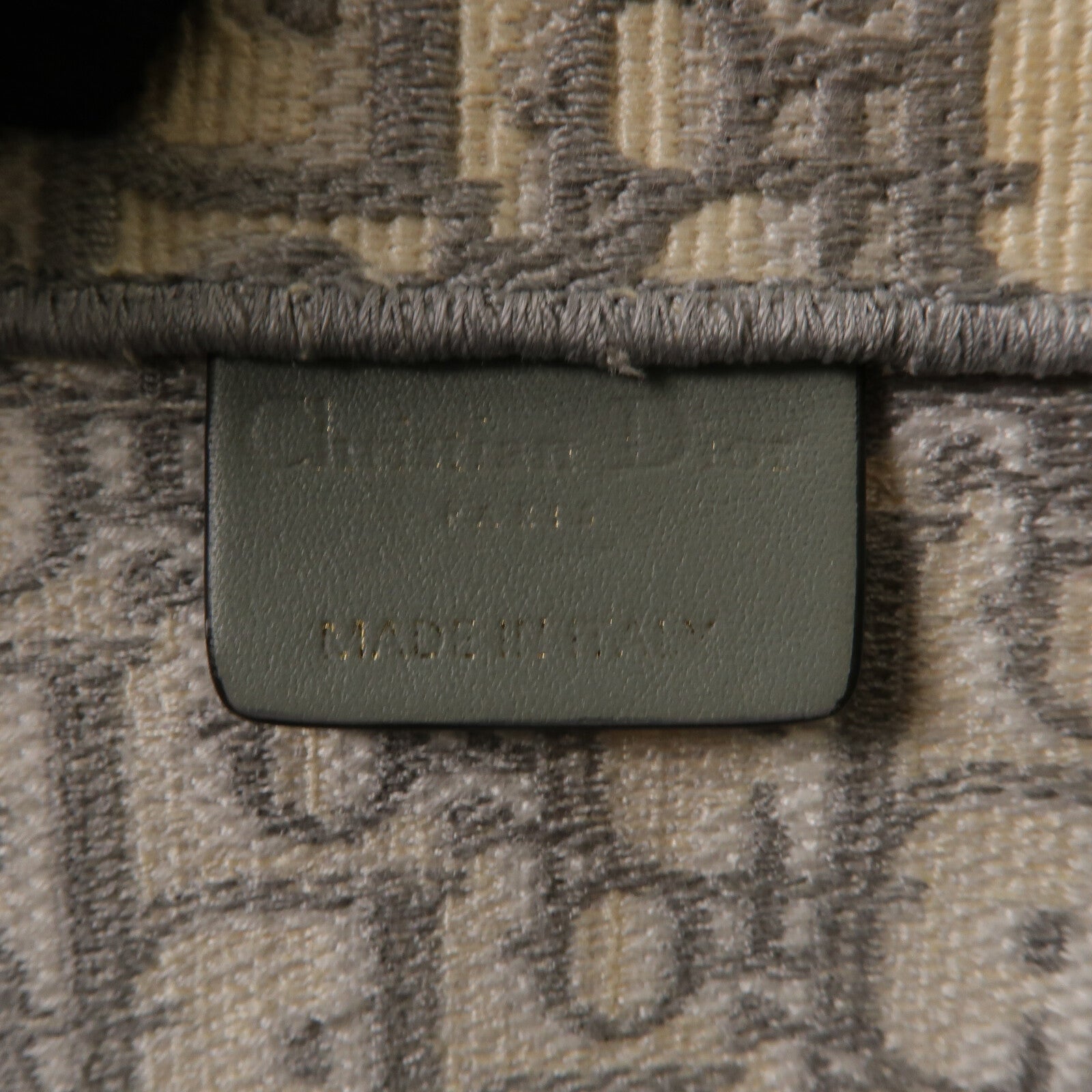 Dior 帆布Book Tote Medium手挽袋