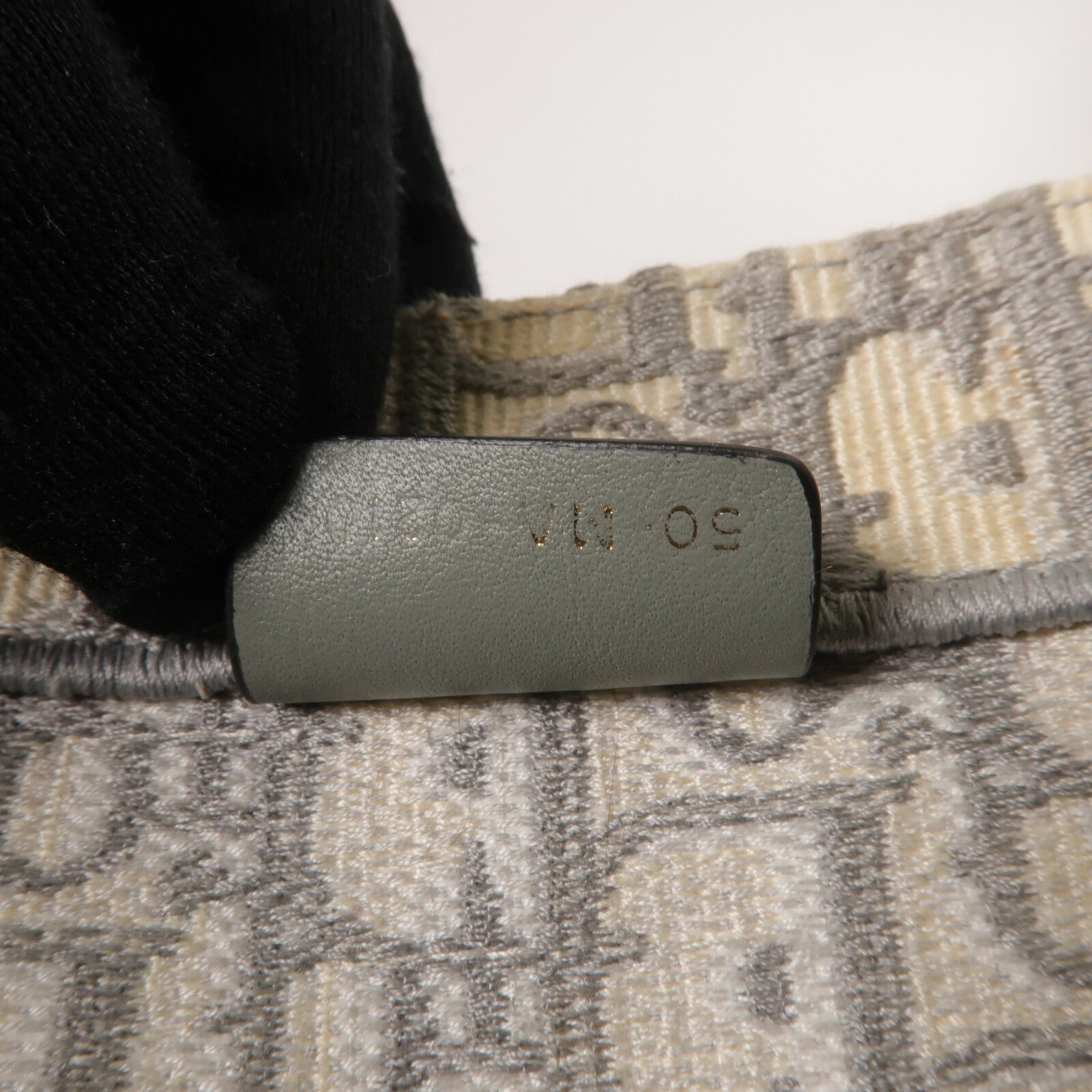Dior 帆布Book Tote Medium手挽袋