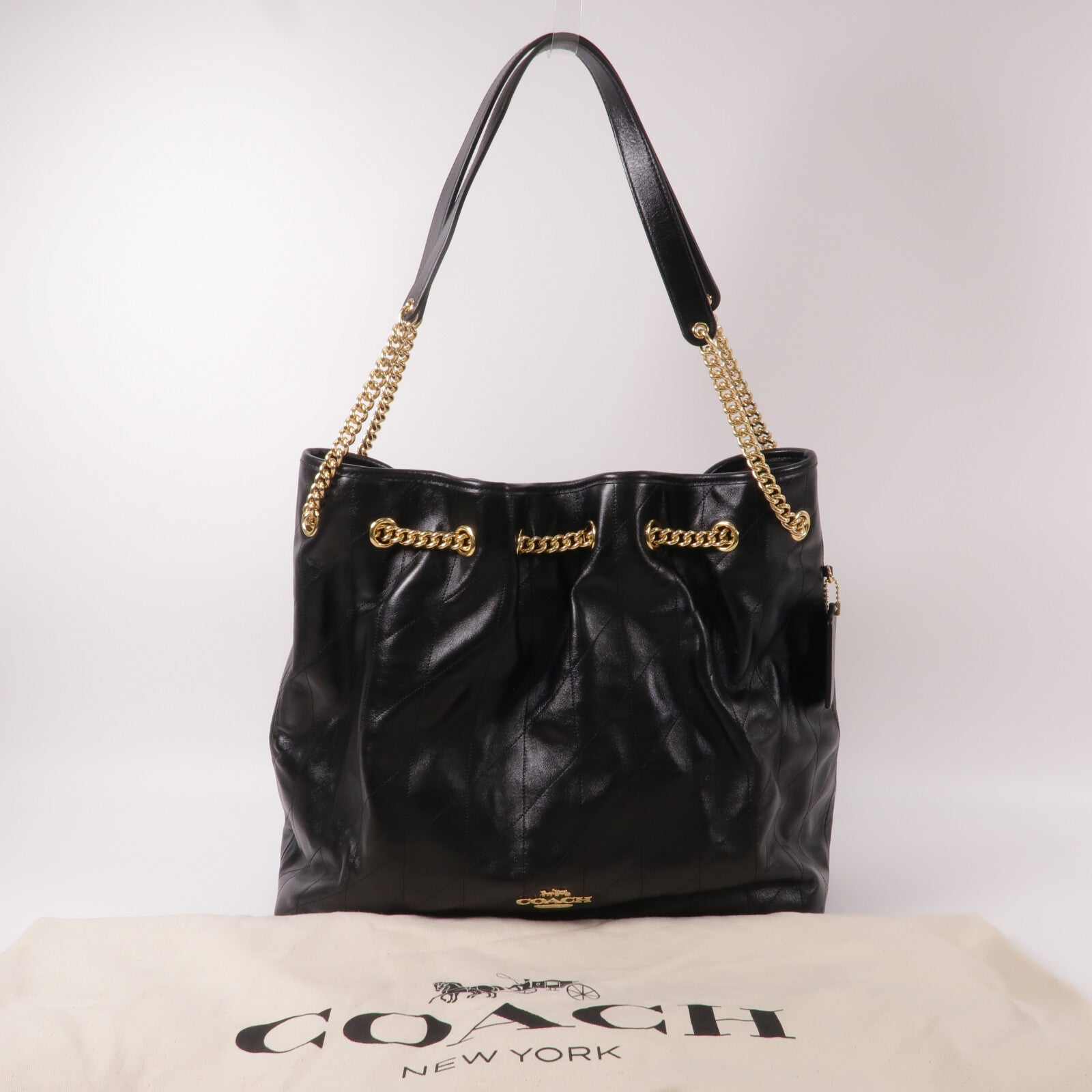 COACH 牛皮皮革Evelyn鏈帶肩背袋