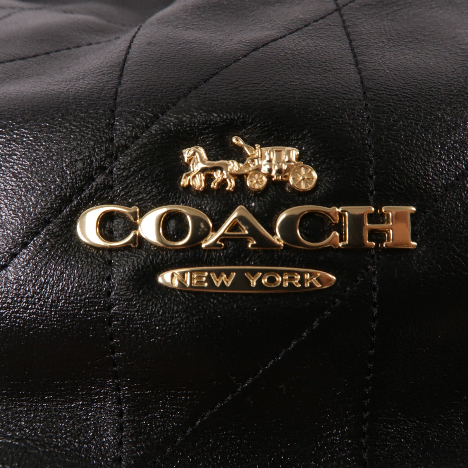 COACH 牛皮皮革Evelyn鏈帶肩背袋