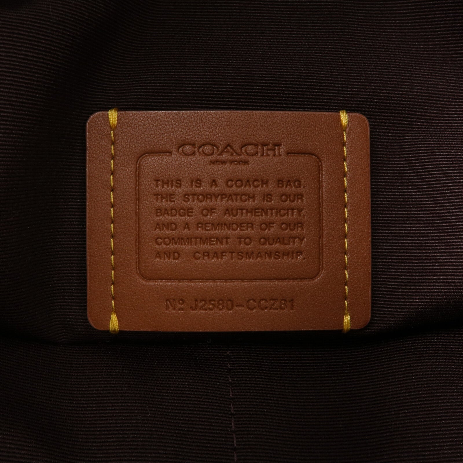 COACH 牛皮皮革Evelyn鏈帶肩背袋