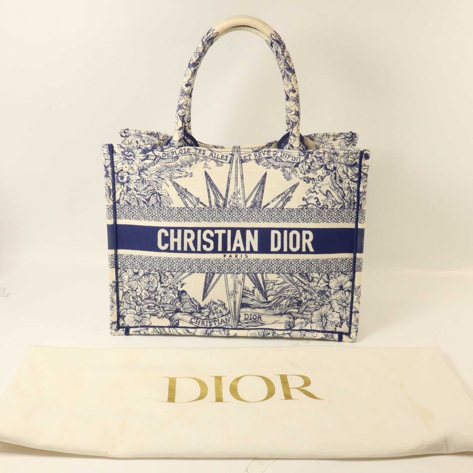 Dior 帆布Book Tote Medium手挽袋