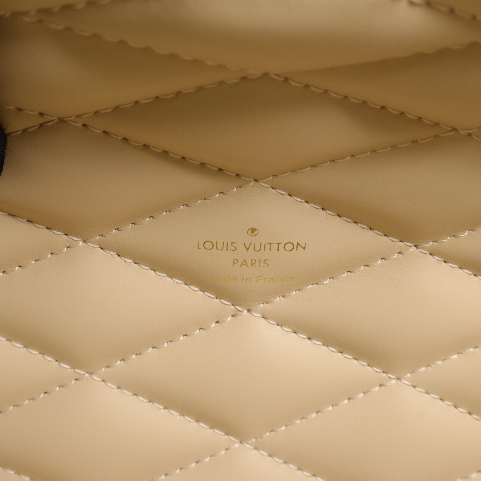 LOUIS VUITTON Monogram Speedy Trunk手挽袋