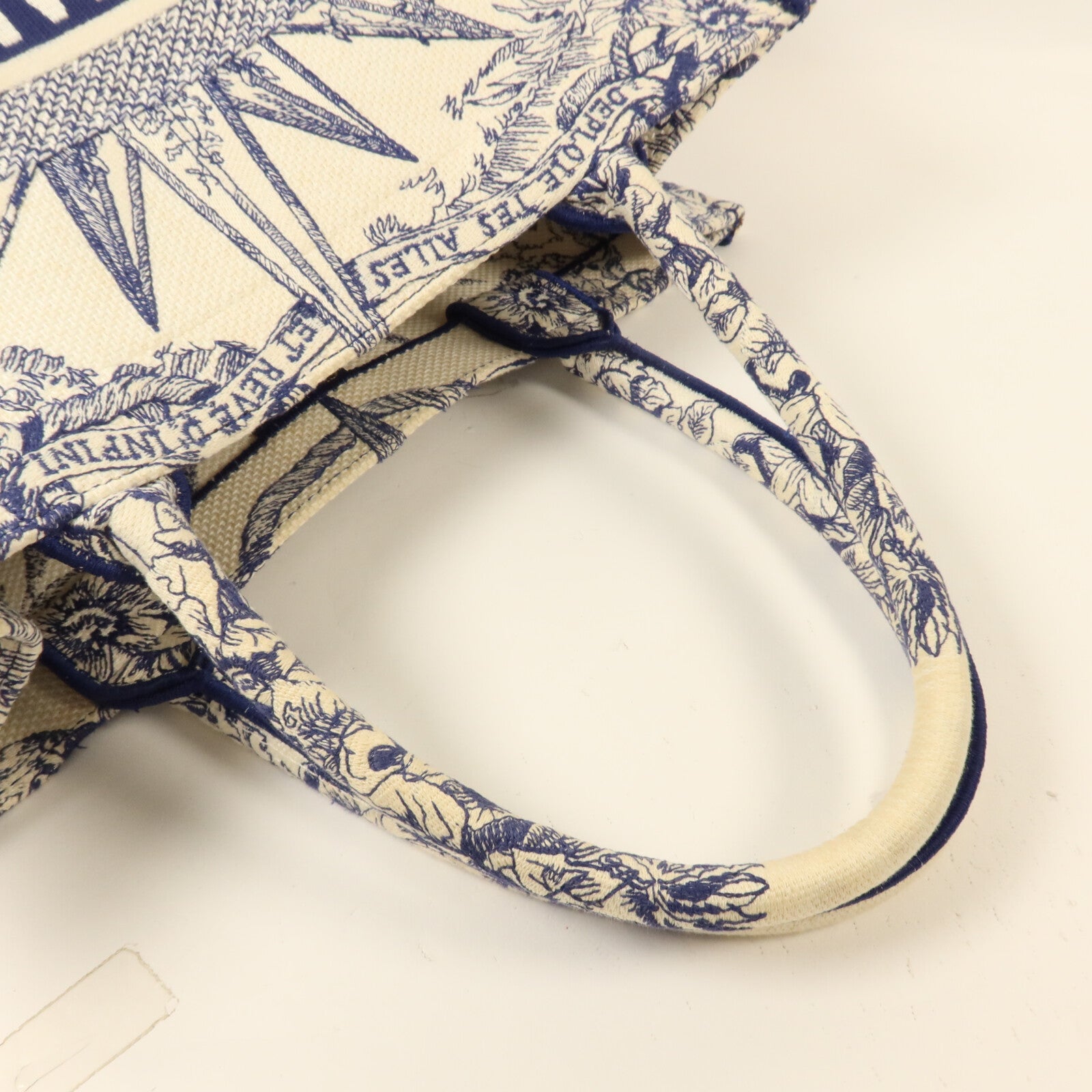 Dior 帆布Book Tote Medium手挽袋