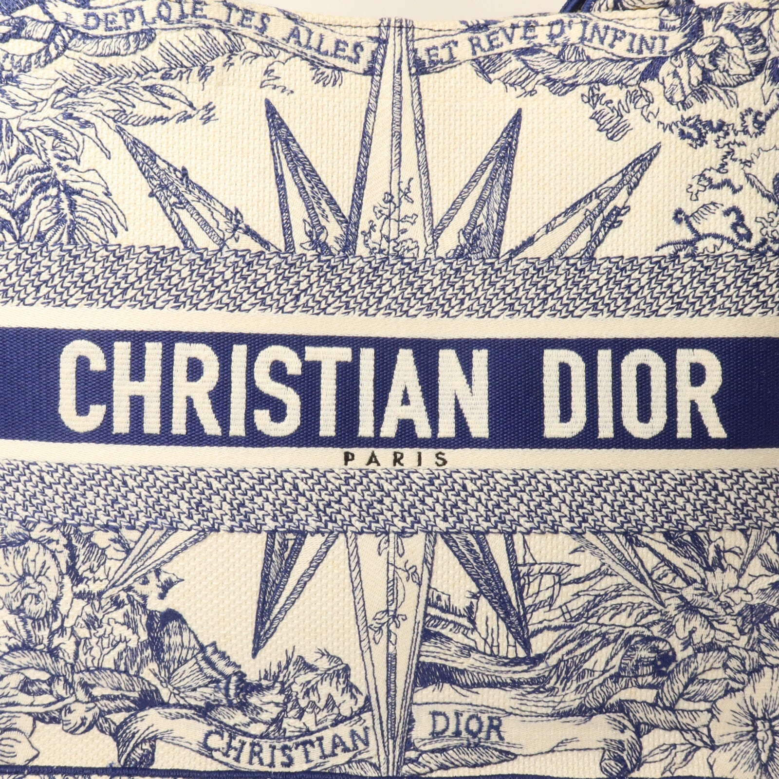 Dior 帆布Book Tote Medium手挽袋