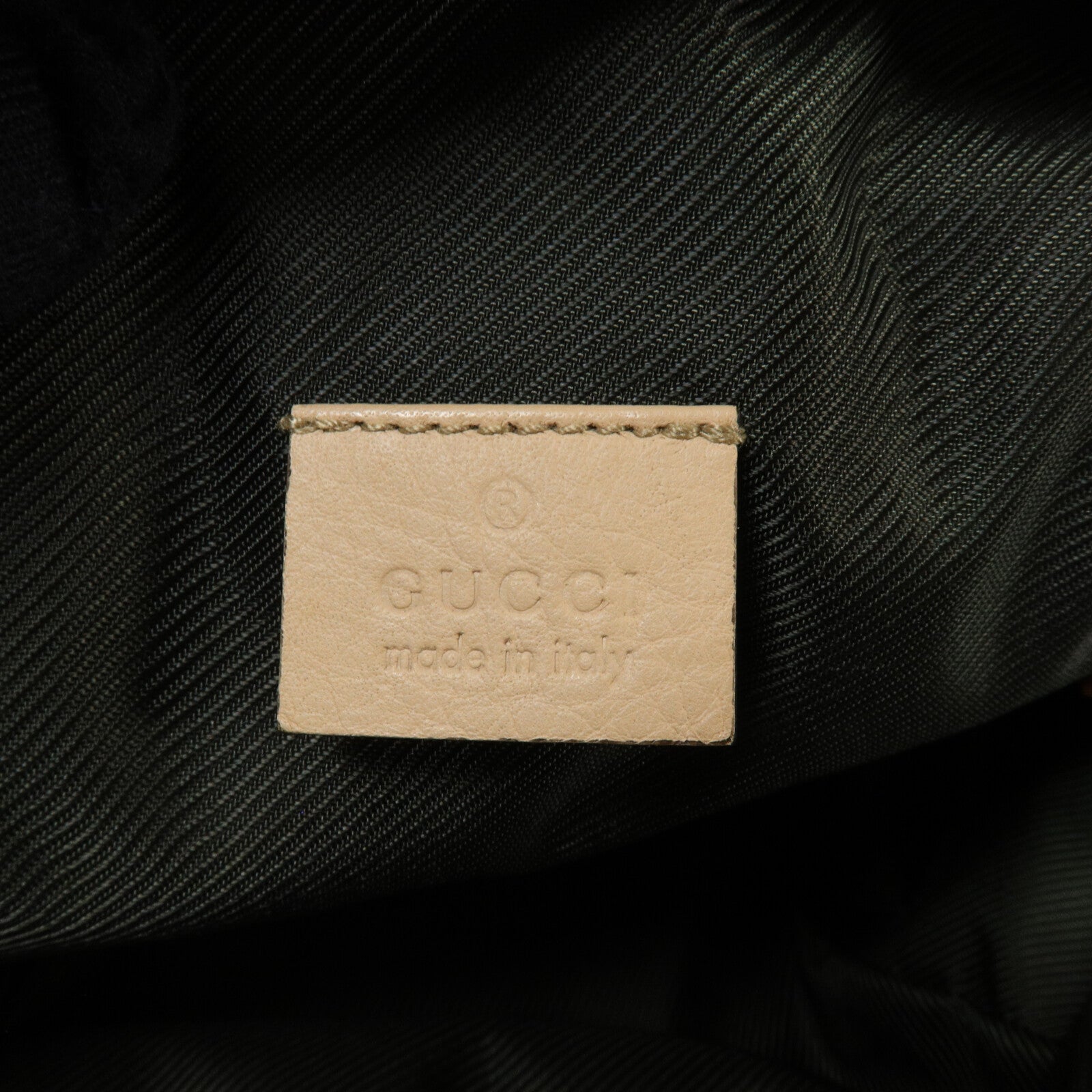 GUCCI 帆布Hand Bag手挽袋