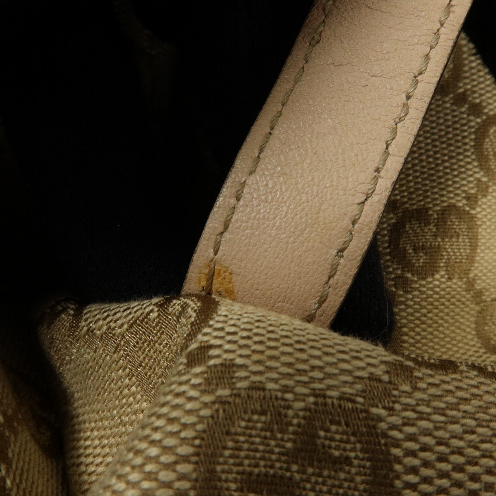 GUCCI 帆布Hand Bag手挽袋