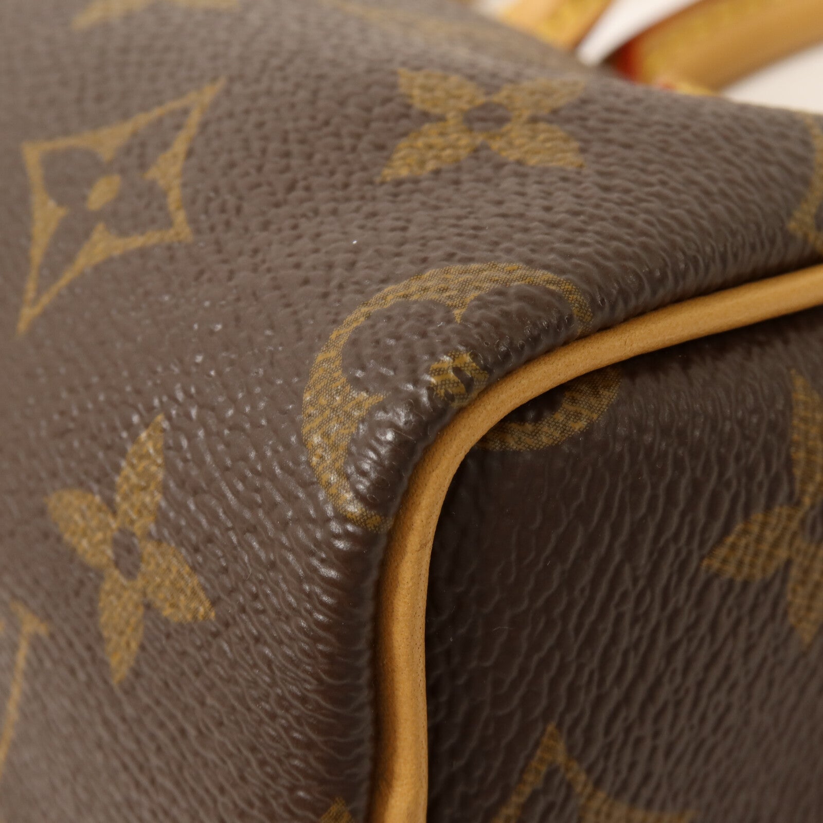 LOUIS VUITTON Monogram Nano Speedy手挽肩背兩用袋