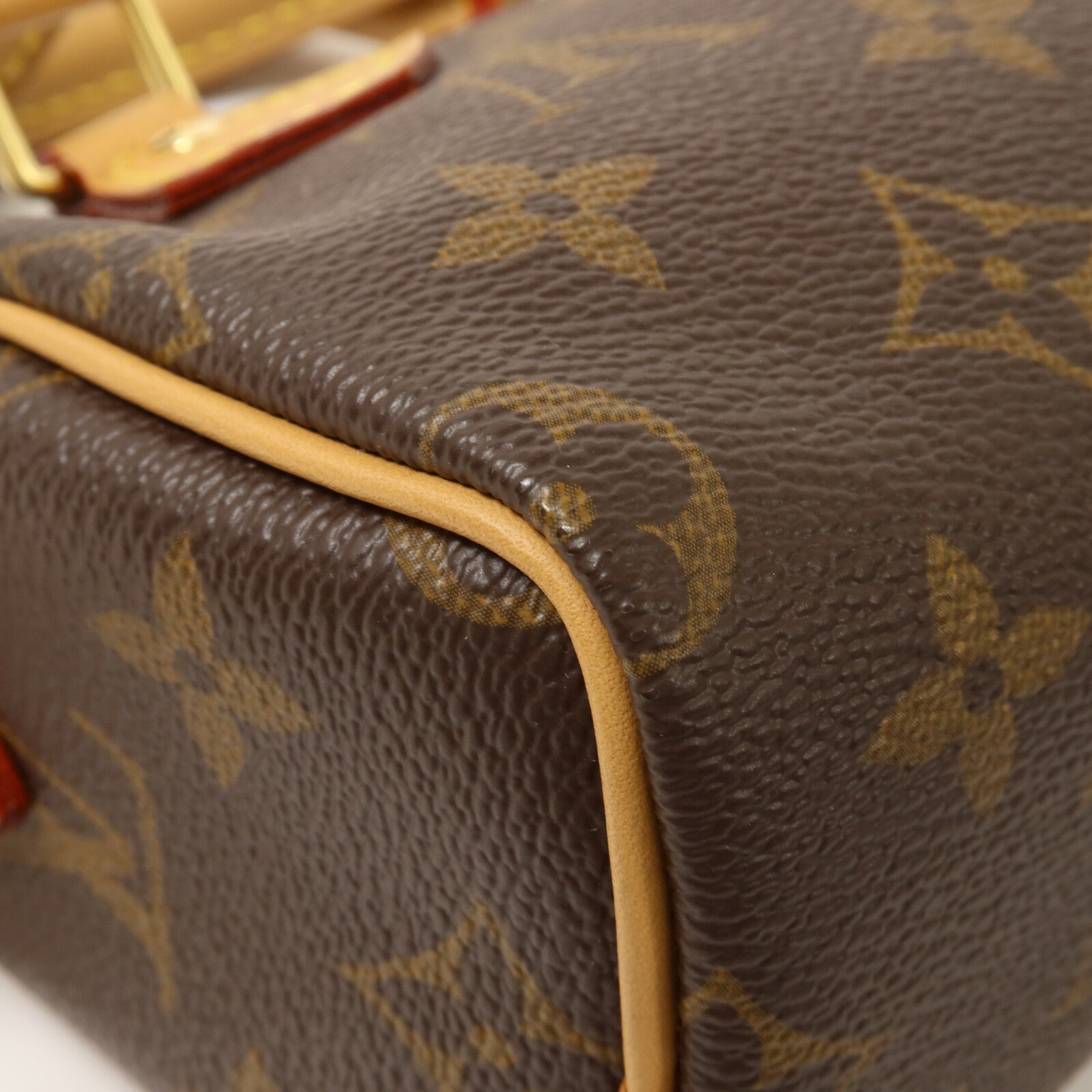 LOUIS VUITTON Monogram Nano Speedy手挽肩背兩用袋